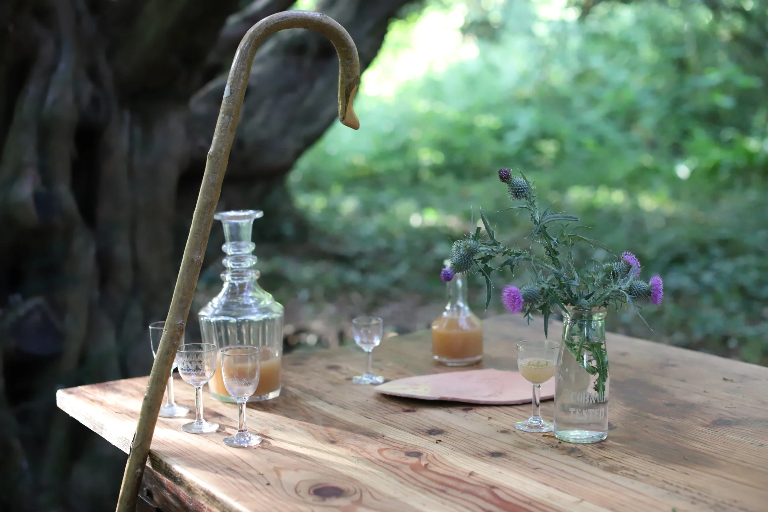 Crook and Thistle.JPG