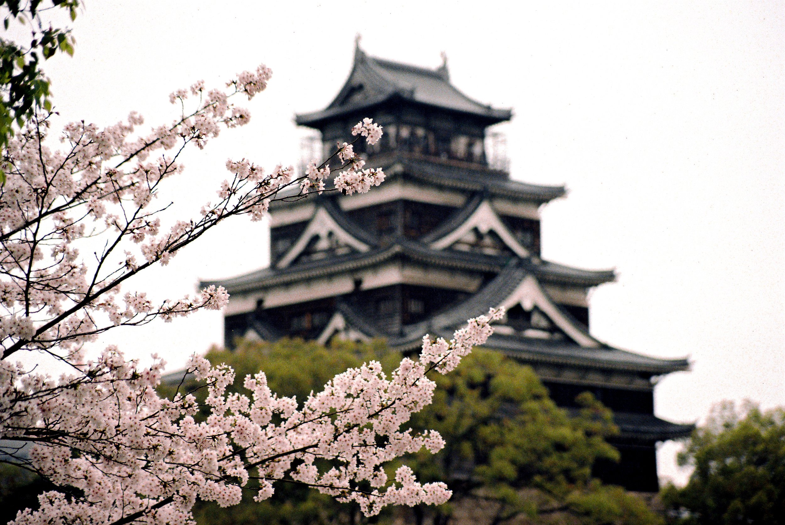 JapanFilm-033.jpg