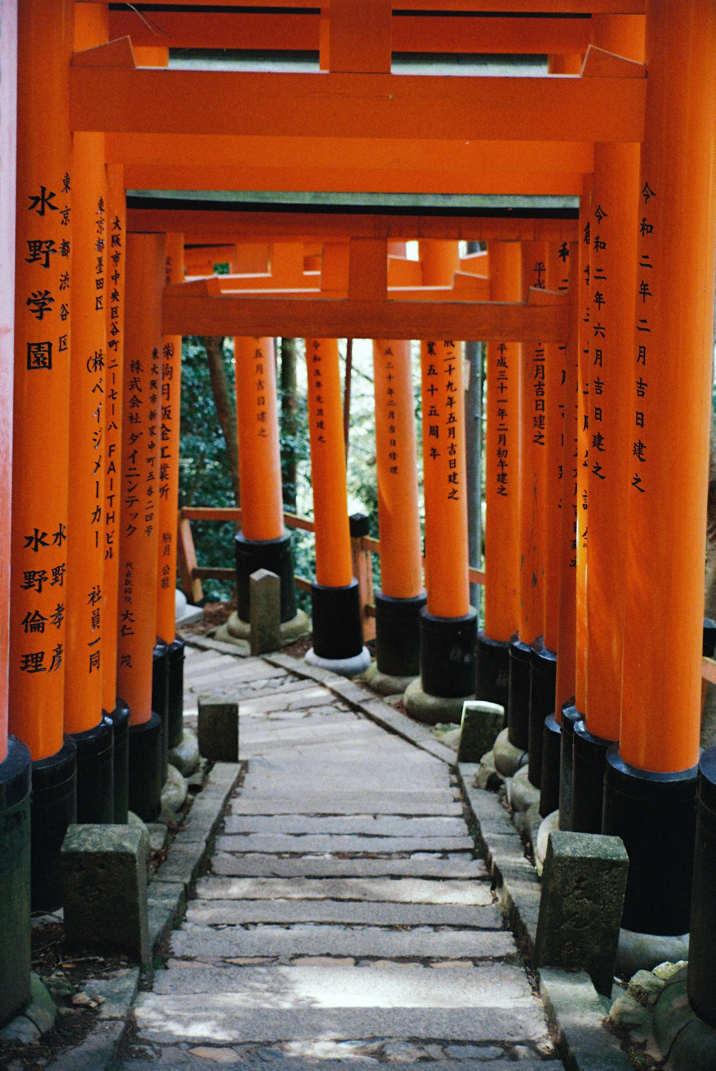 JapanFilm-110.jpg