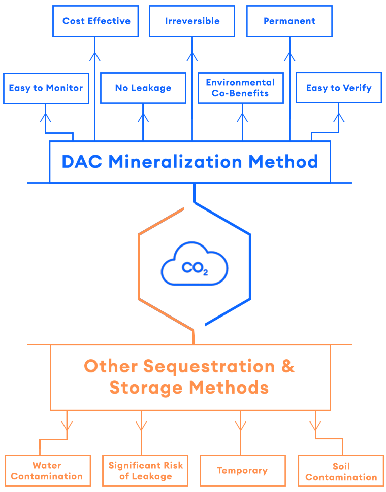 DAC_Infographic_04 copy.png