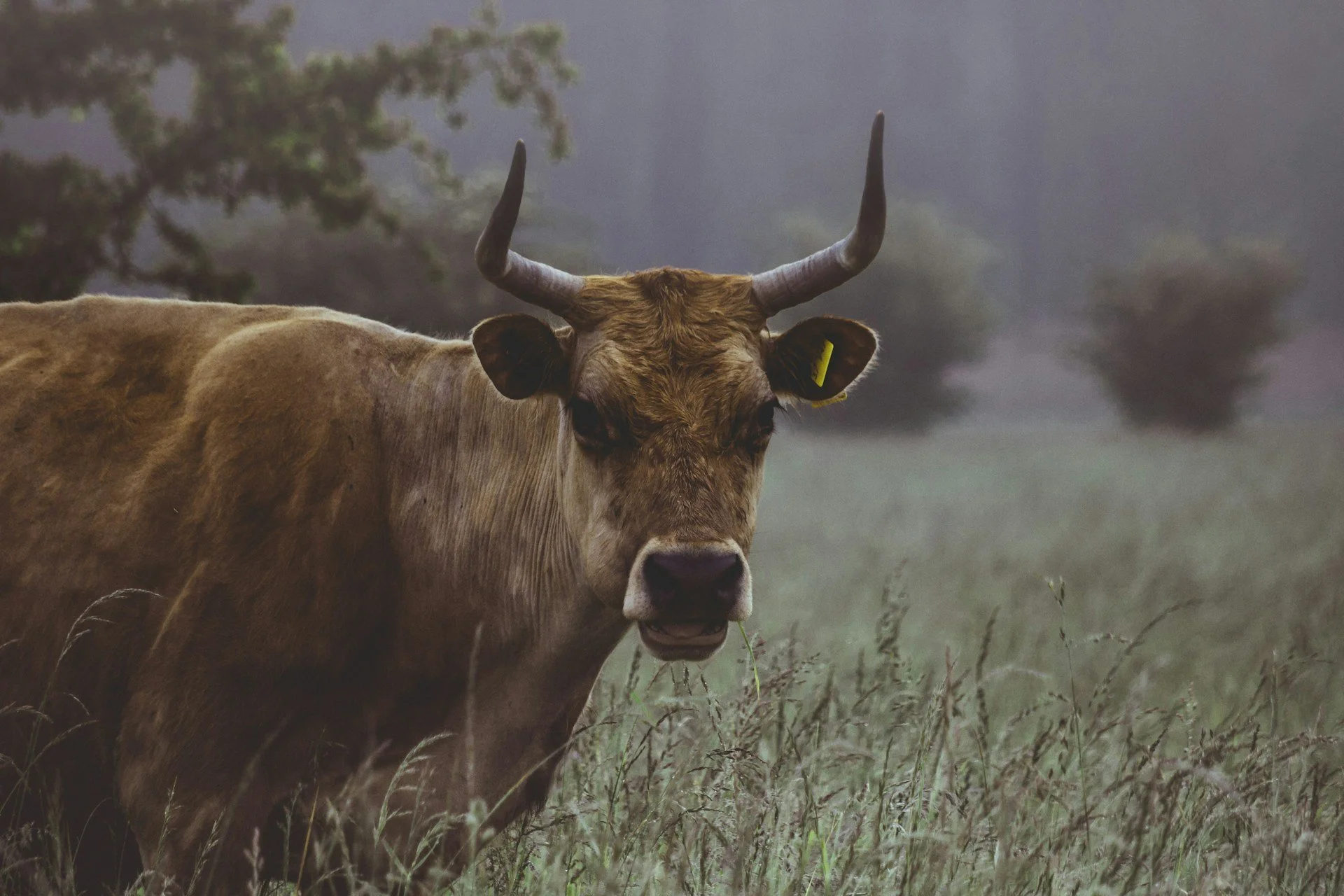 - Tau karsten-wurth-A6TY-unsplash copy.jpg