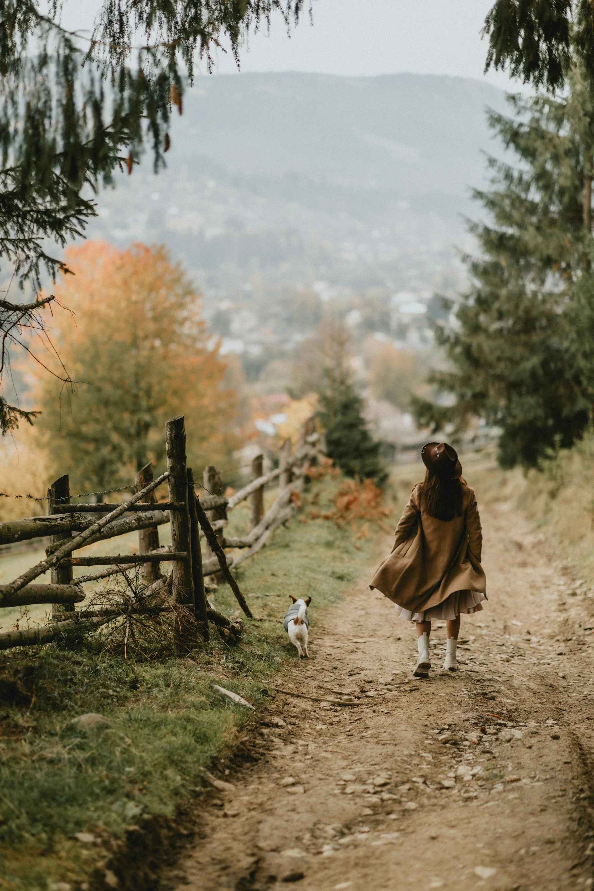 oksana-zub-Y_jFR_YWLcE-unsplash.jpg