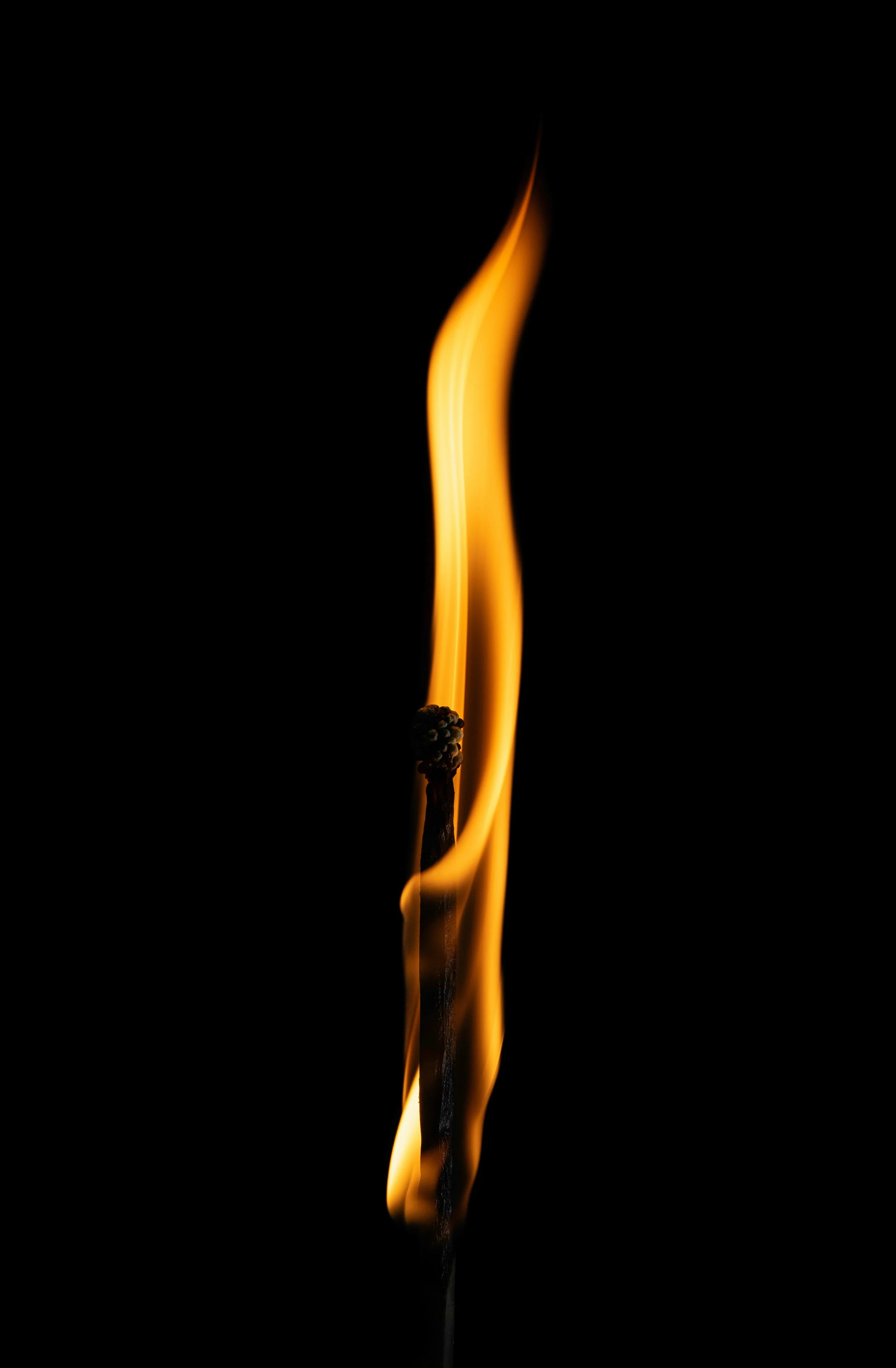 sara-gault-aYbsFeWasiA-unsplash.jpg (Copy)