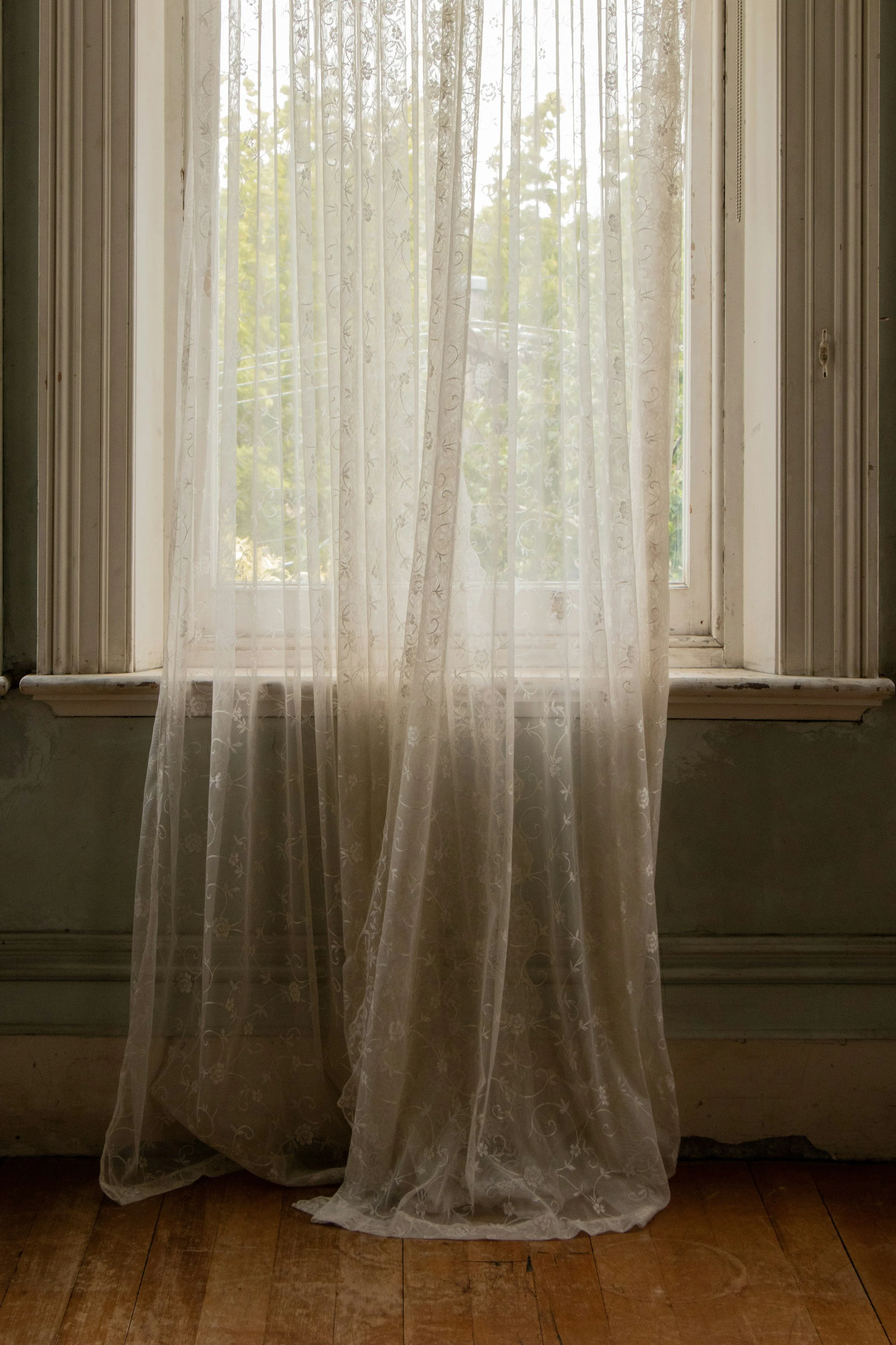 mitchell-luo-Gwq0FfoVUvI-unsplash-2.jpg (Copy)