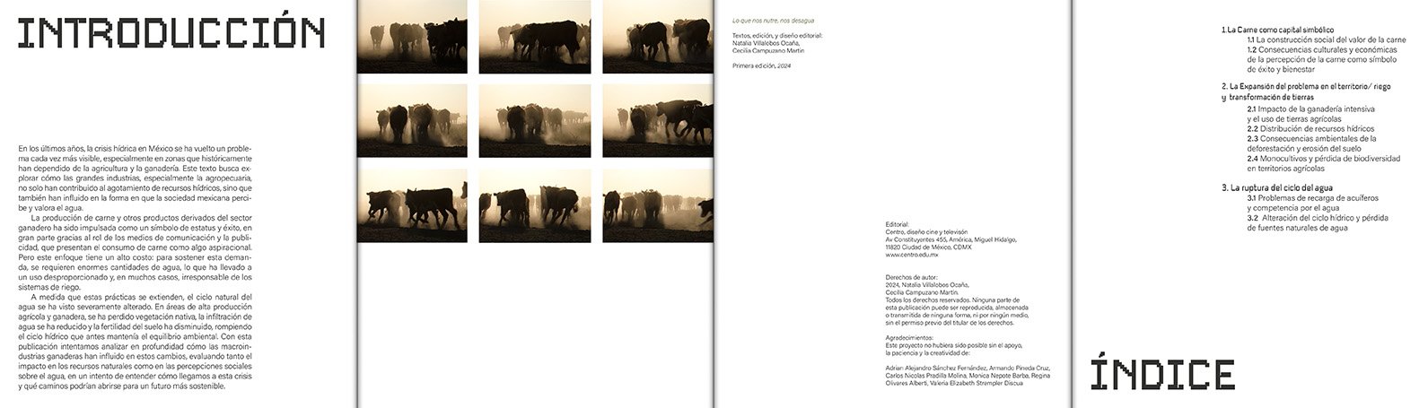 Spanish text document with introduction, images of cows, and table of contents