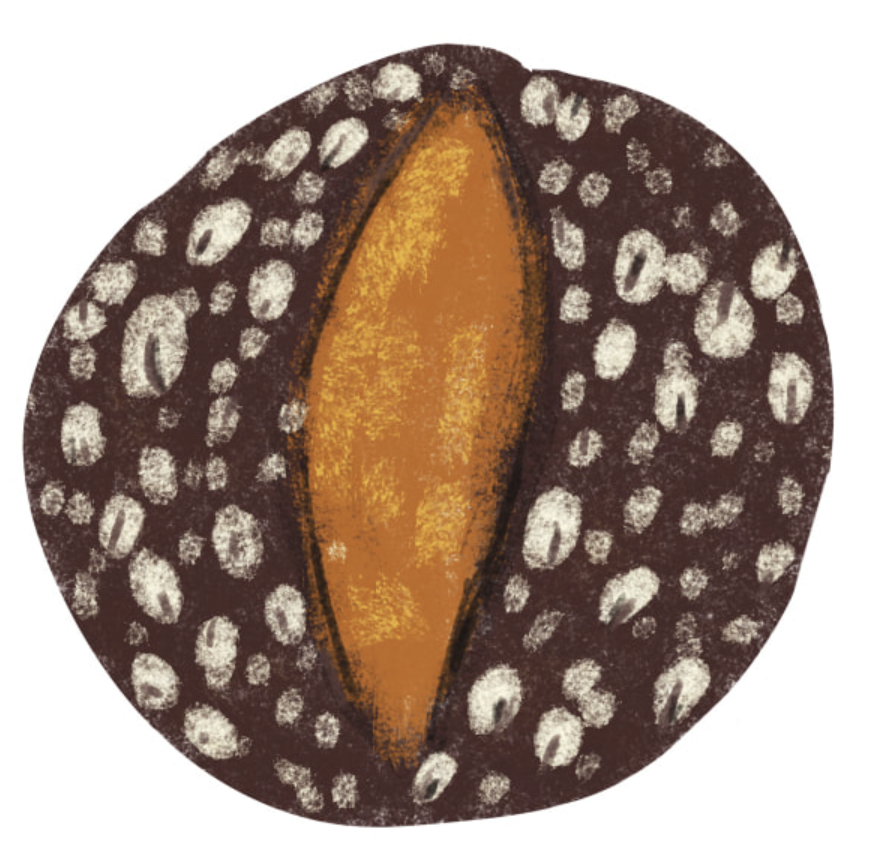 Honey Oat Porridge Loaf