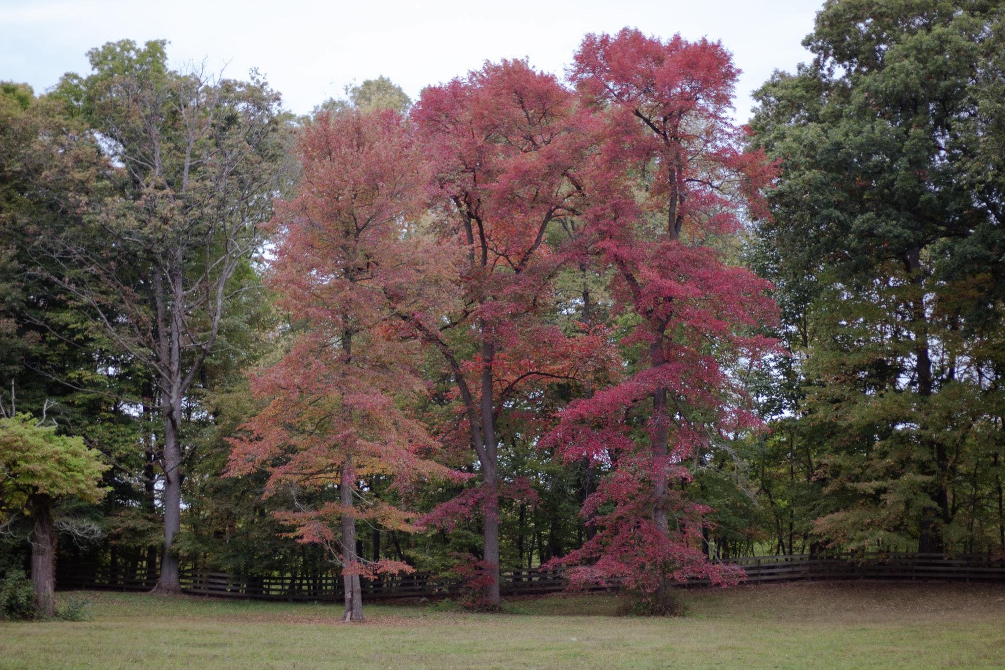 Changing landscape..