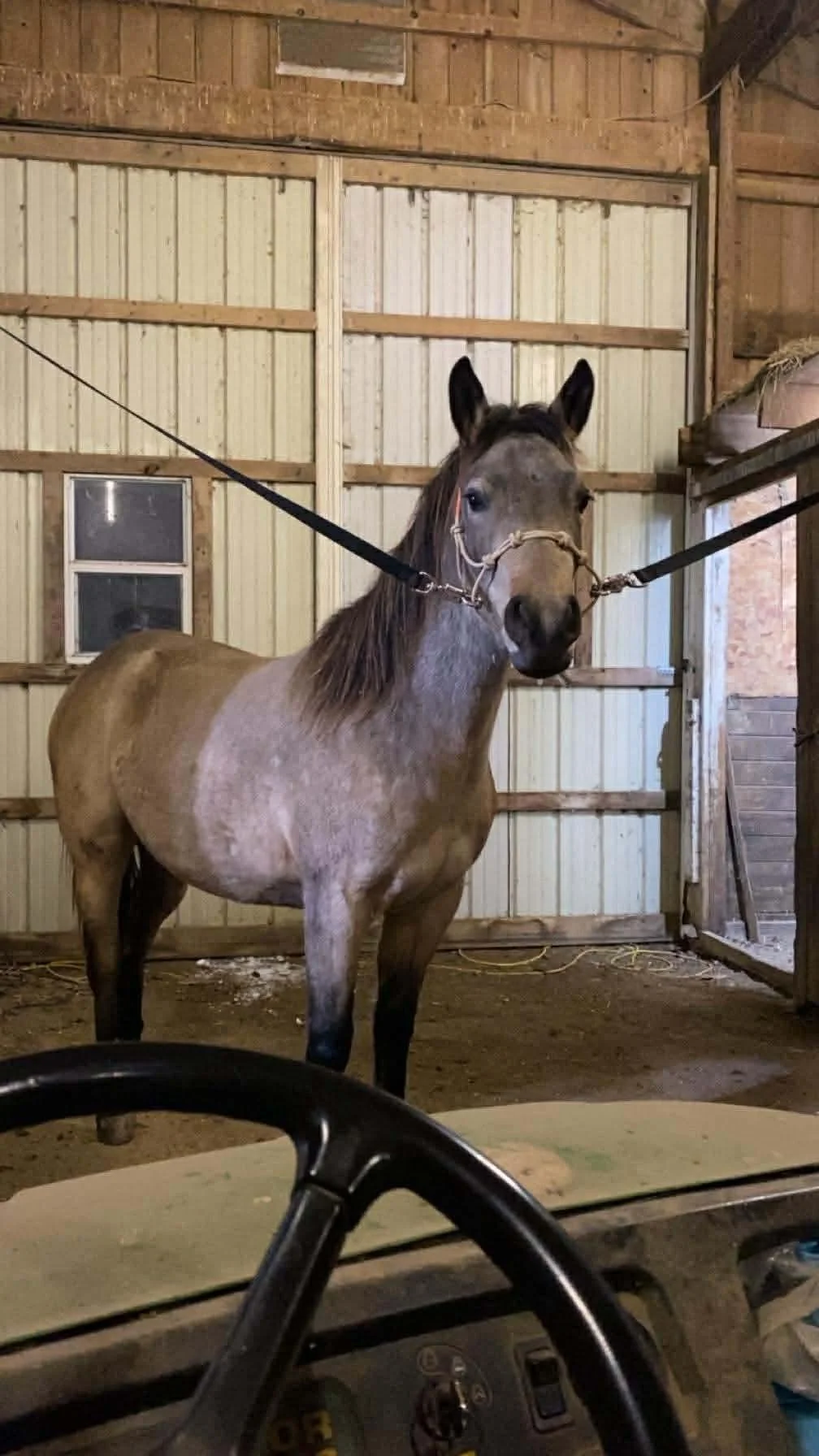 The Shortest Day of  2025!