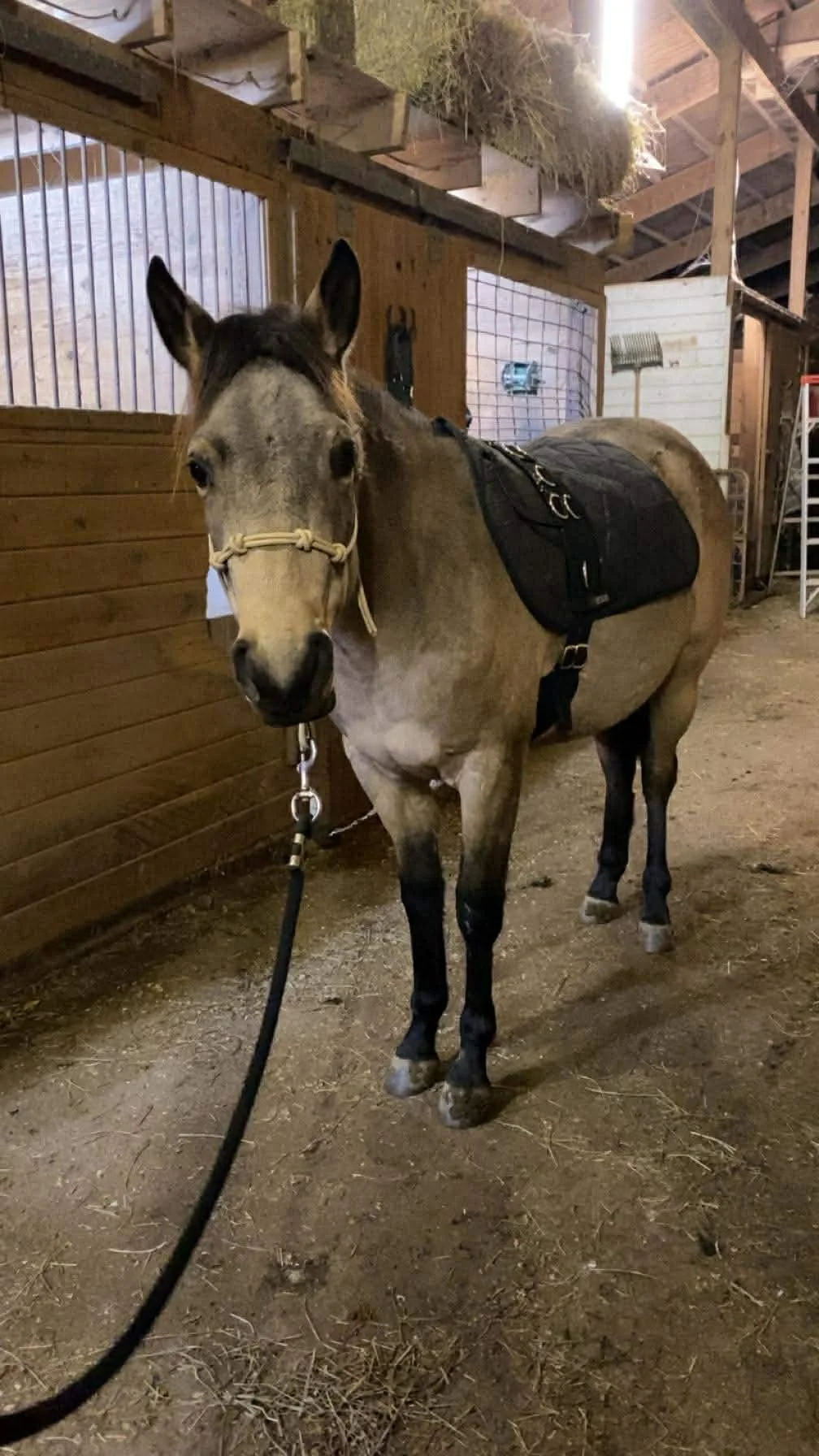 Getting ready for the New Year