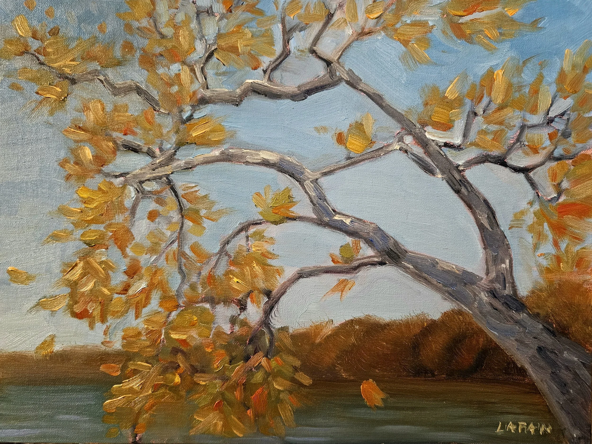"SHEDDING SYCAMORE" //  AVAILABLE //  9x12 Oil on Panel // Anita C Leight Estuary Center, Abingdon, MD