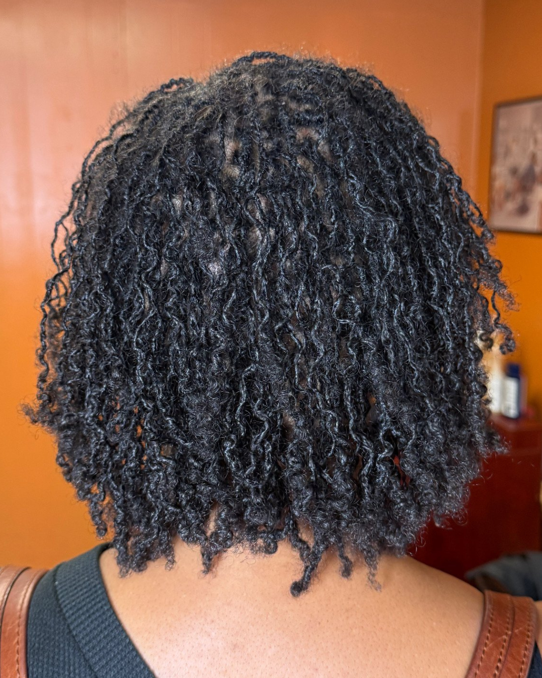 close-up of starter microlocs or Sisterlocks