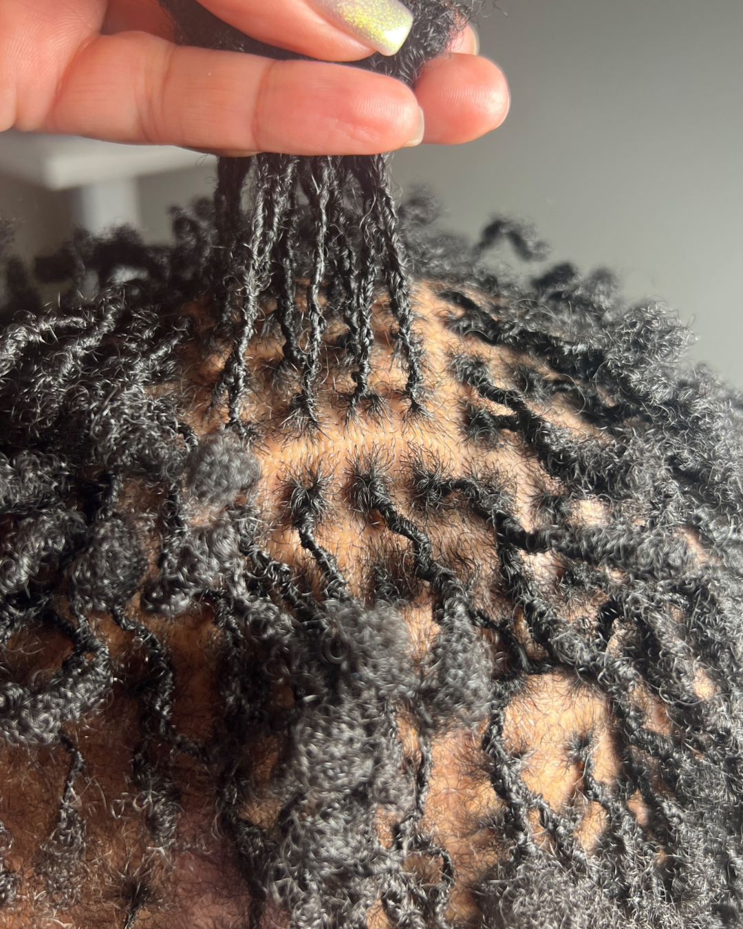 fresh microlocs installation on natural hair by Stephanie Benjamin in Los Angeles, California