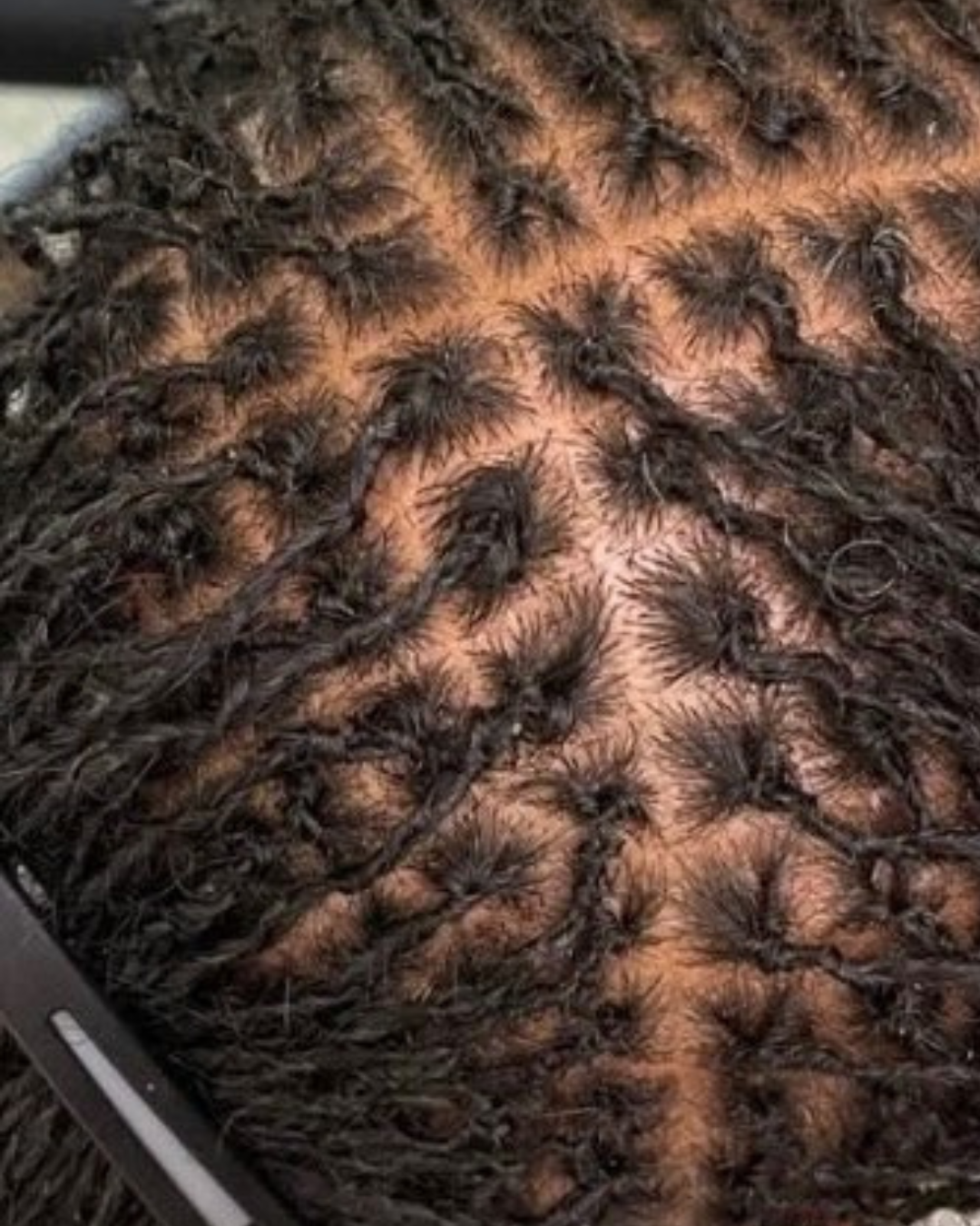 microlocs retightening results with neat roots and defined parts silver spring, md