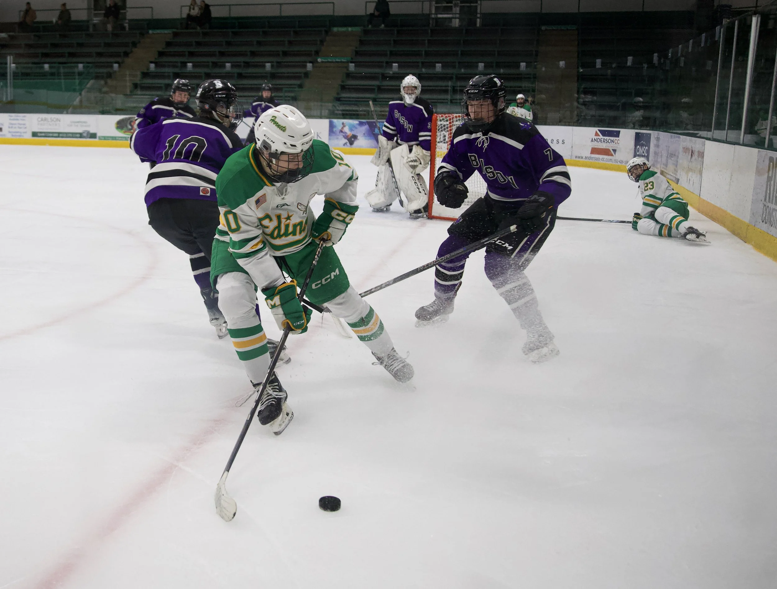 edina hocky - 23.jpg