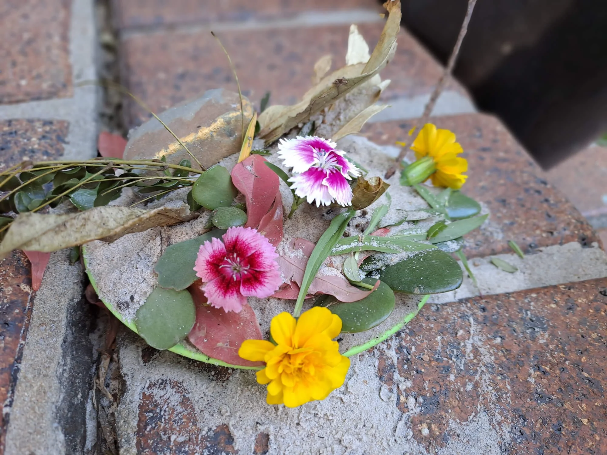 A young girl at Ballymore Kindy, Herston, wearing a pink hat, pink top, and a tie-dye skirt is playing on a wooden outdoor playground with a slide and climbing structure, surrounded by trees and a wooden fence.