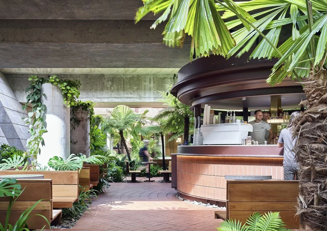 Indoor tropical-themed coffee shop with lush green plants, wooden benches, and a curved brick counter where a barista is serving customers.