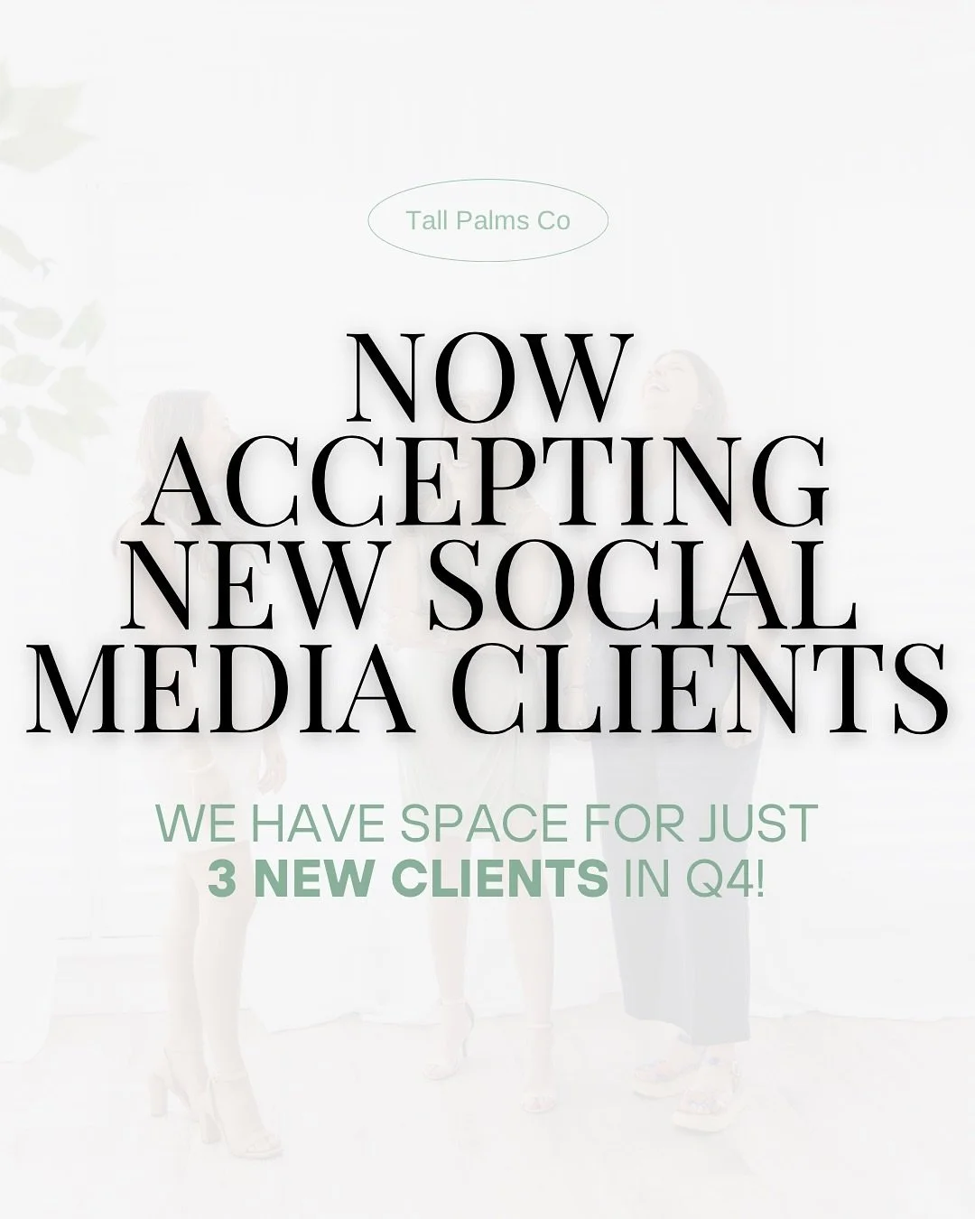 Now Accepting 3 New Social Media Management Clients for Q4 ✨

At Tall Palms Marketing Co., we help businesses go beyond just &ldquo;posting online.&rdquo; 🌴

Our Social Media Management services include:
📱 Strategic content planning &amp; posting
?