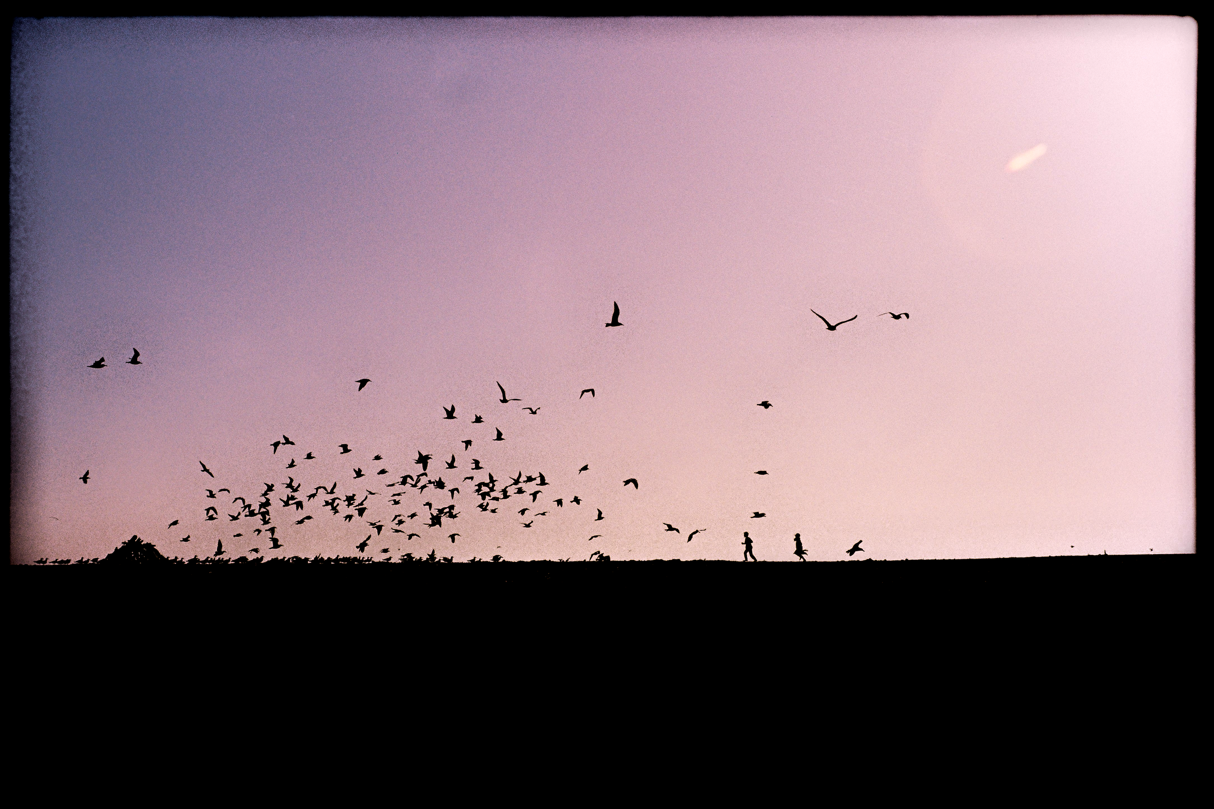 KIDS AND BIRDS
