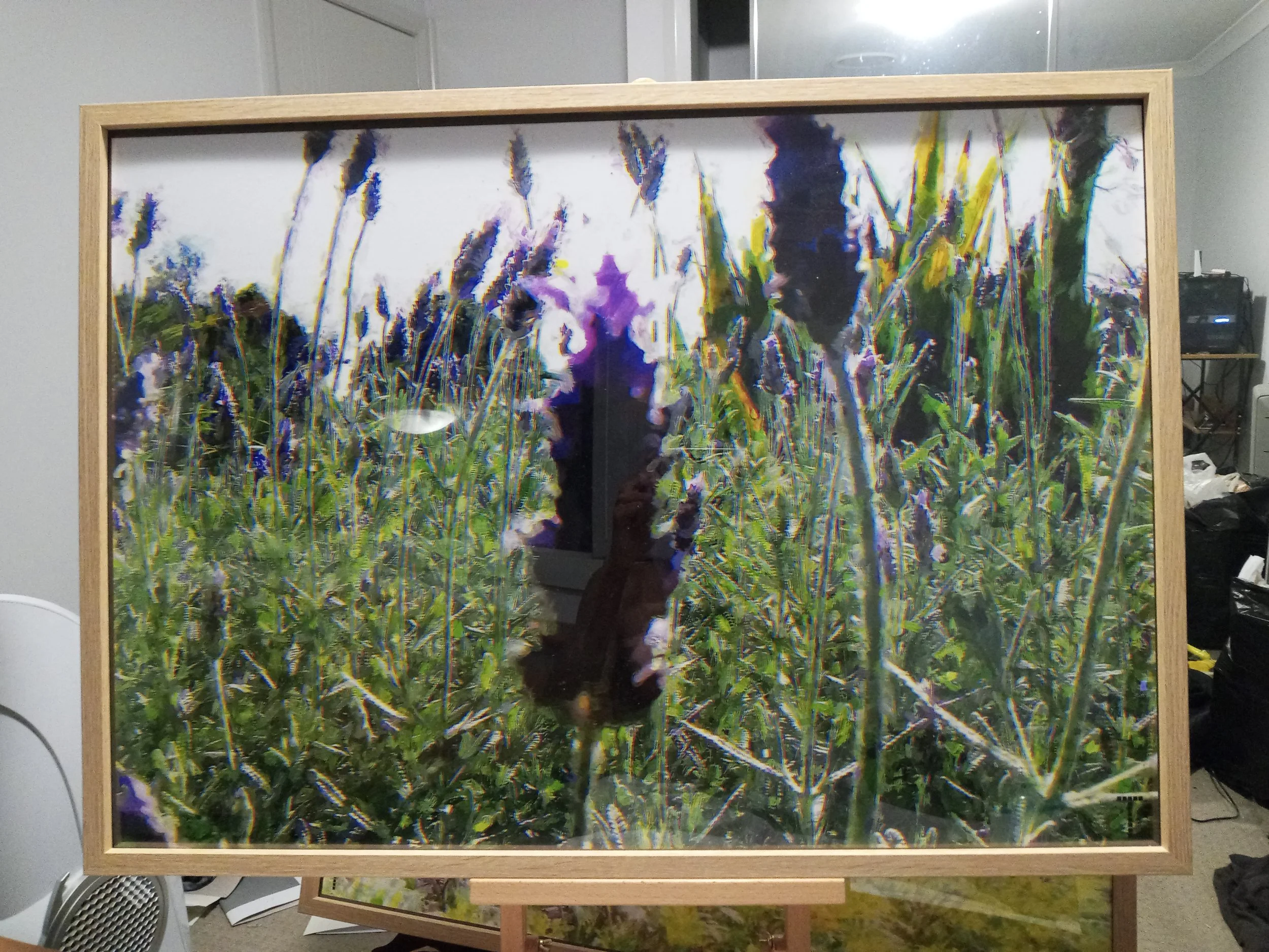 20240826_194925 (1).jpg