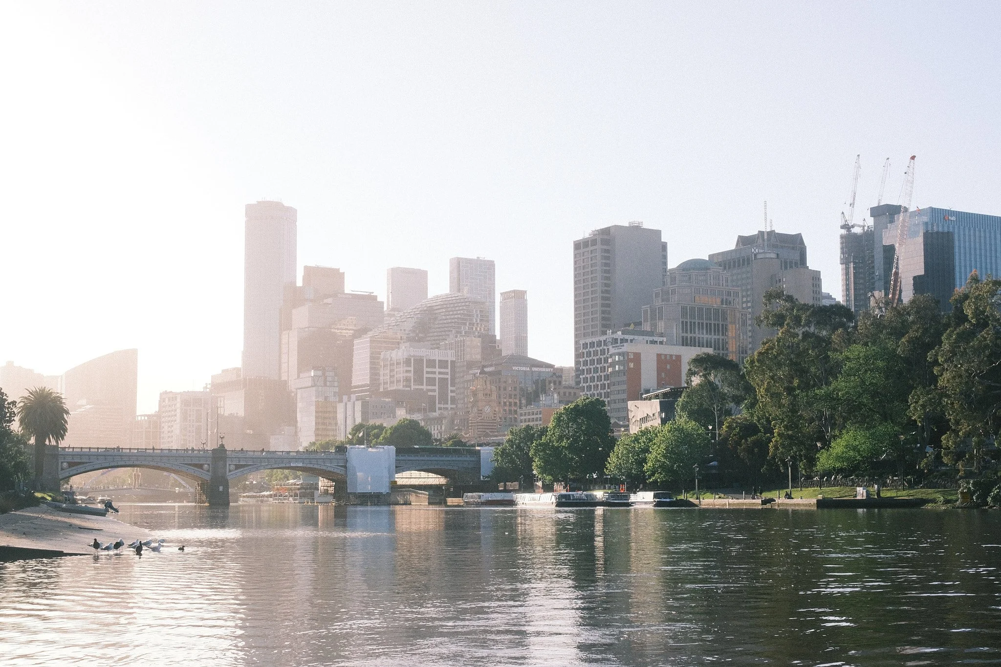 Scenery - Zaron & Aarya Engagement 1.jpg