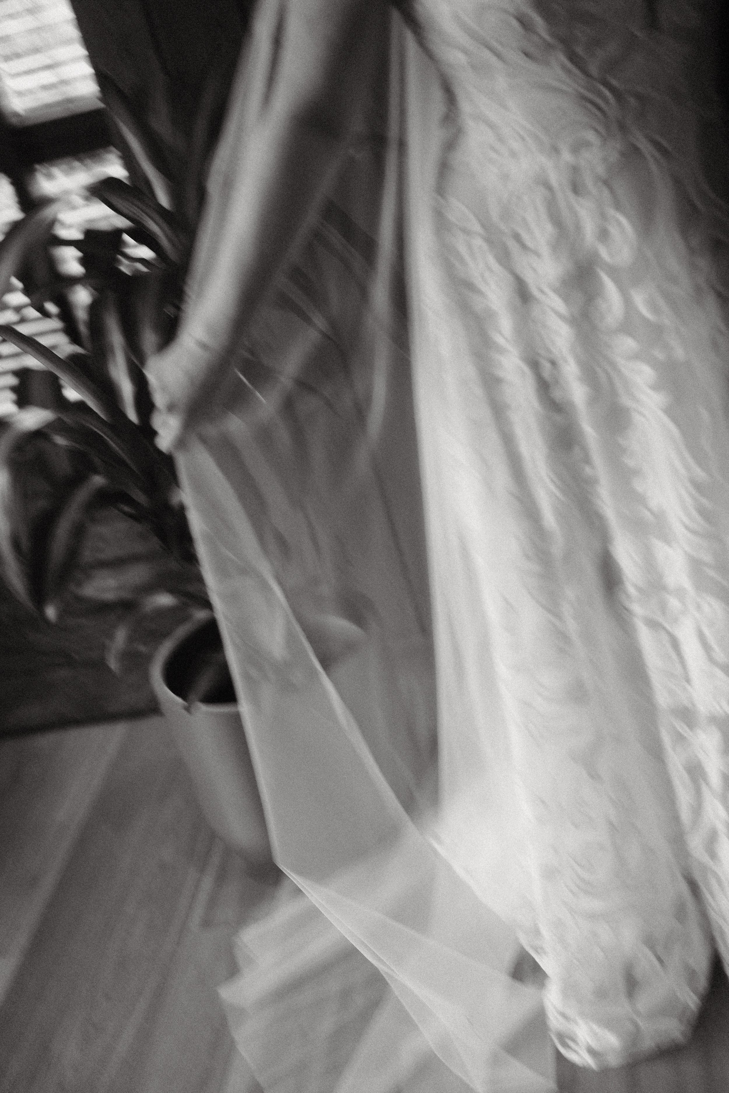 Dress Details @ Home - LB 11.04.2026 3.jpg