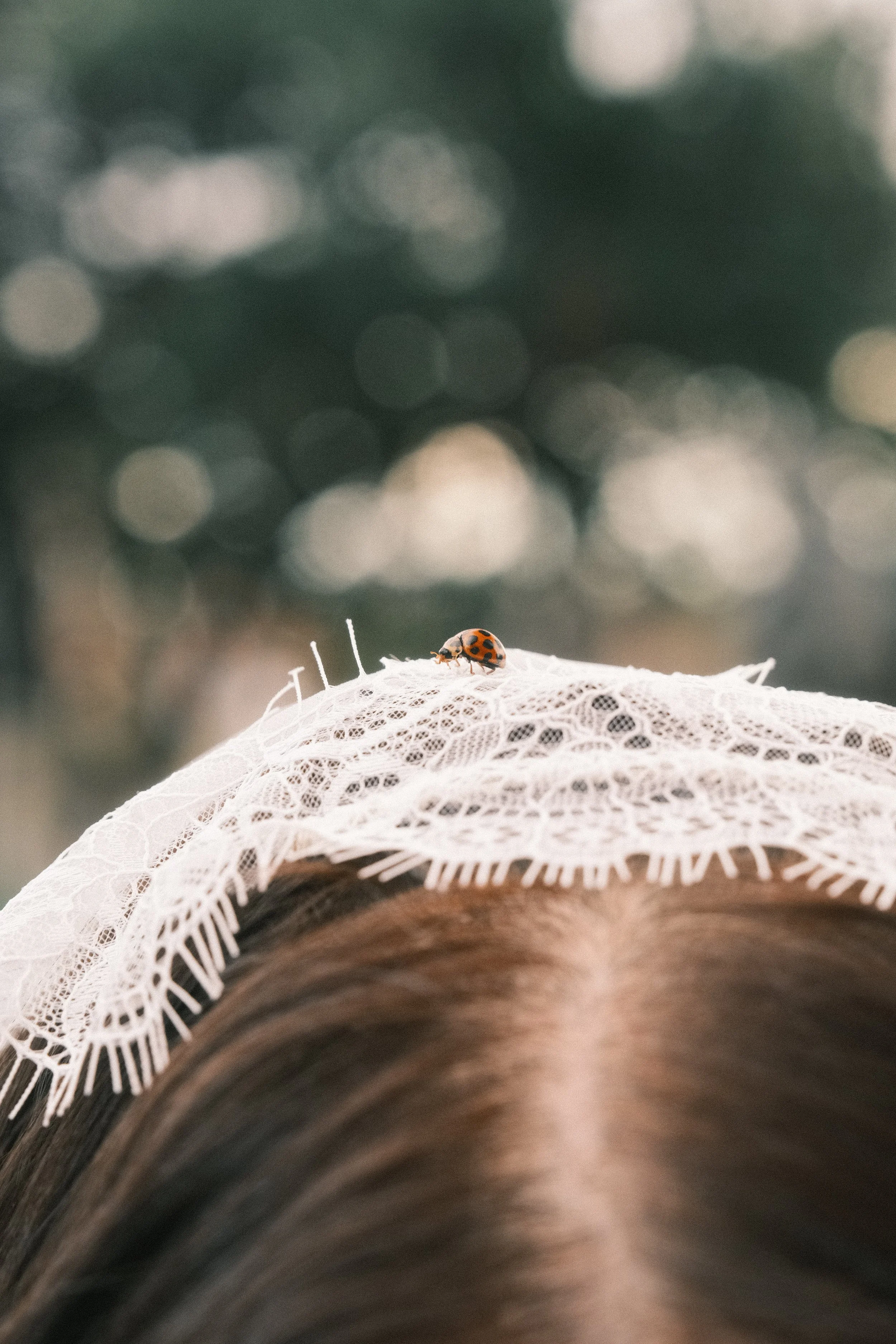 Lady Bug_Church - C&R 19.09.2026 2.jpg