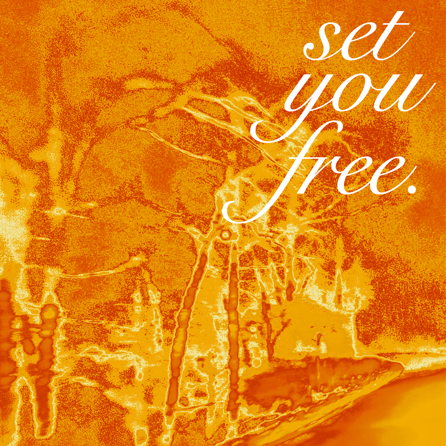 set you free.