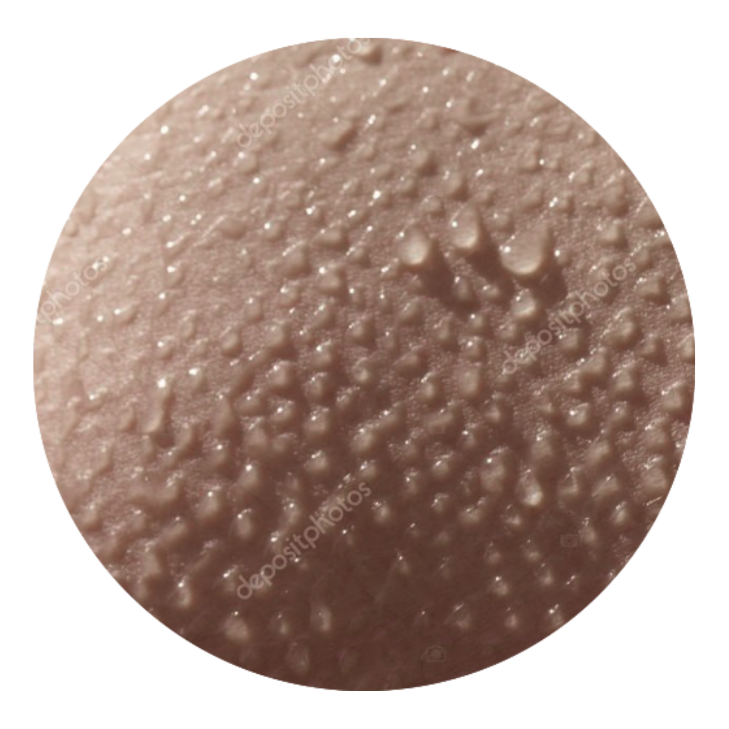 Understanding VISIA: Why Skin Imaging Is a Core Part of Your Assessment at The Derm Clinic