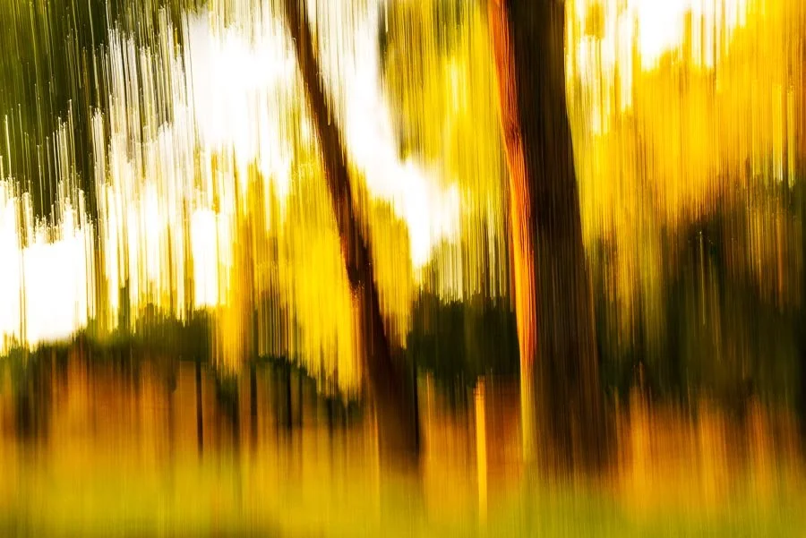 Golden Sunset