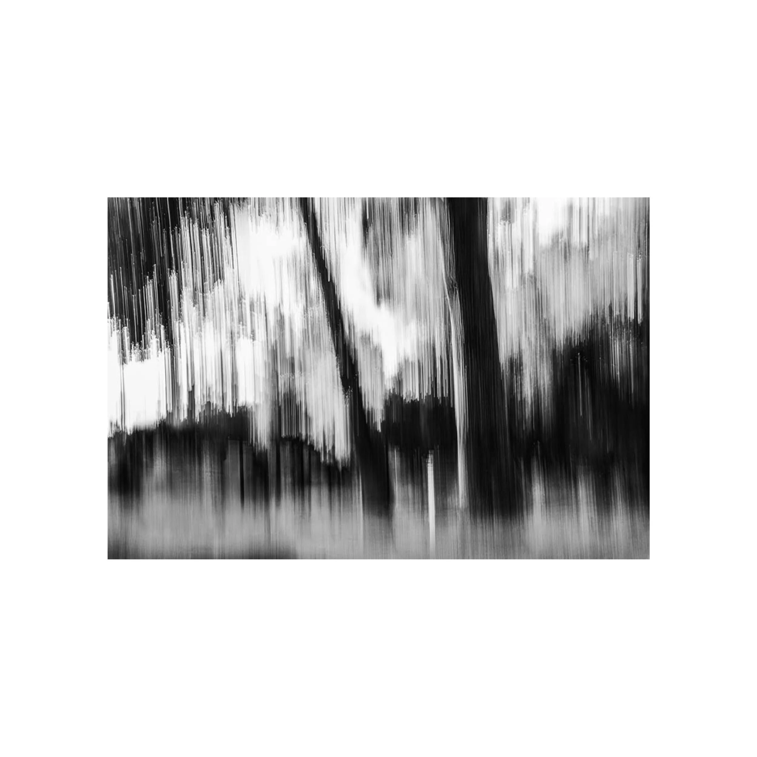 black&white-icm-tree-print-nahidnaderi-.jpg