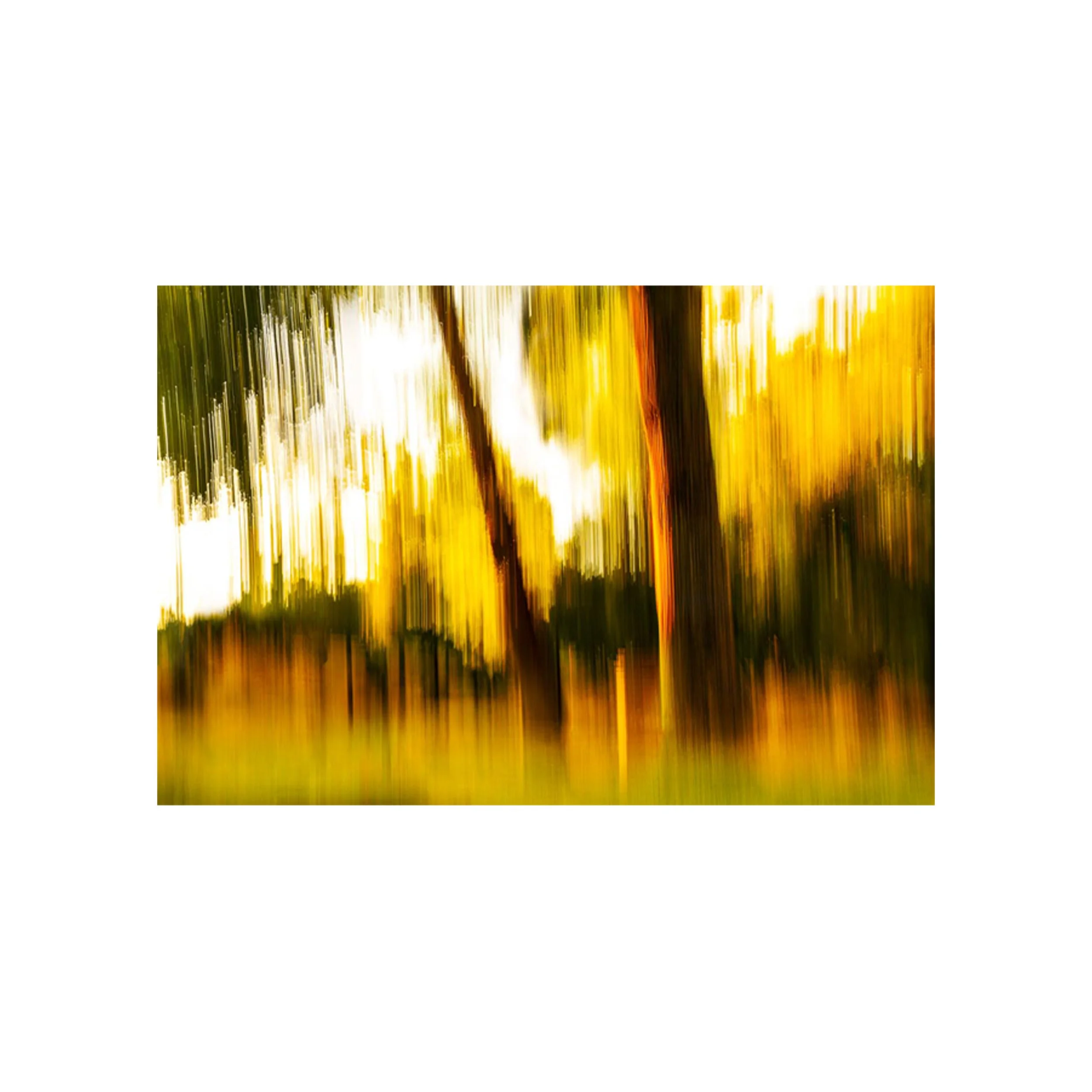 fine-art-icm-gold-print-nahid-naderi.jpg