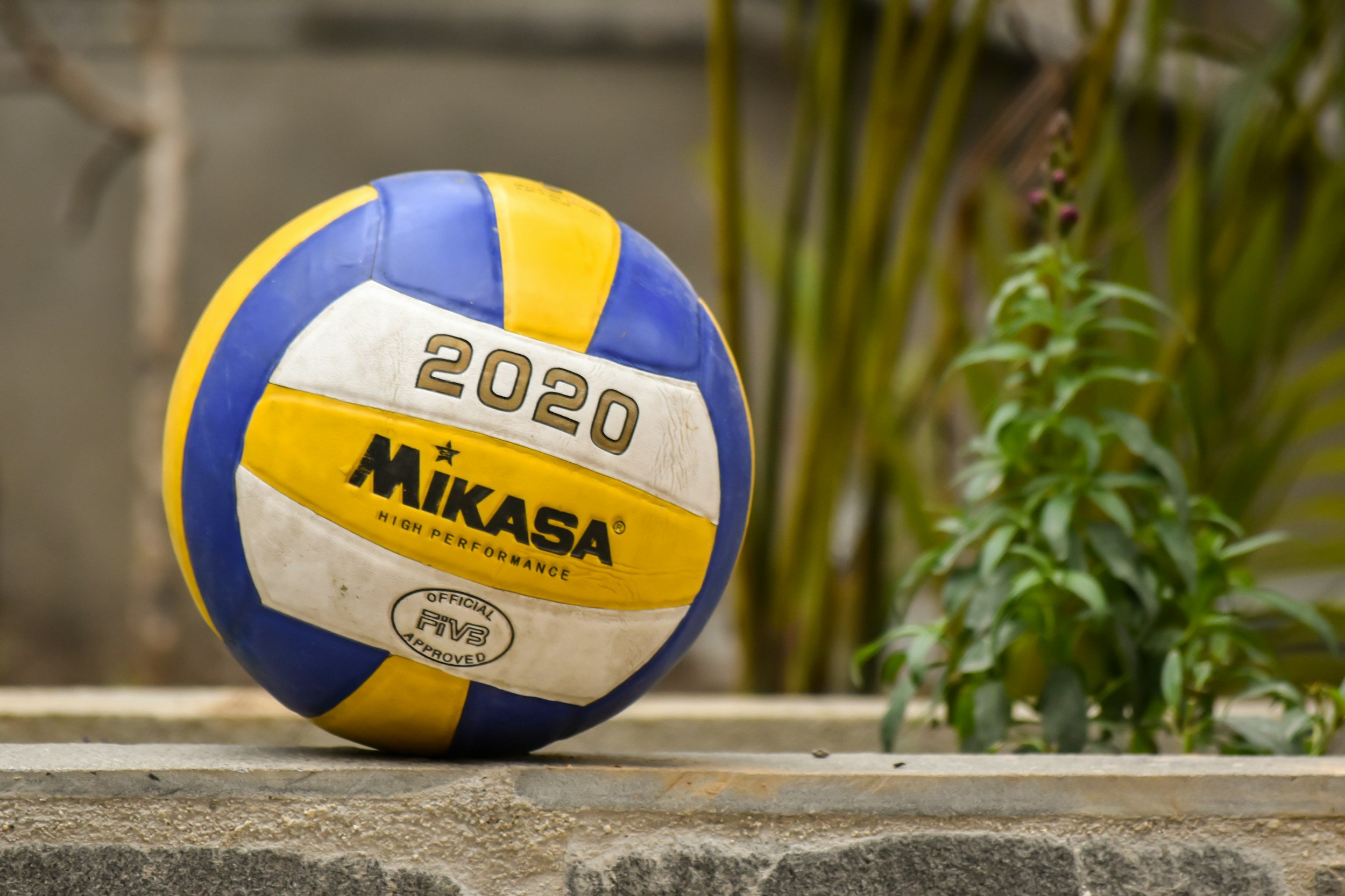 Volleyball Club 