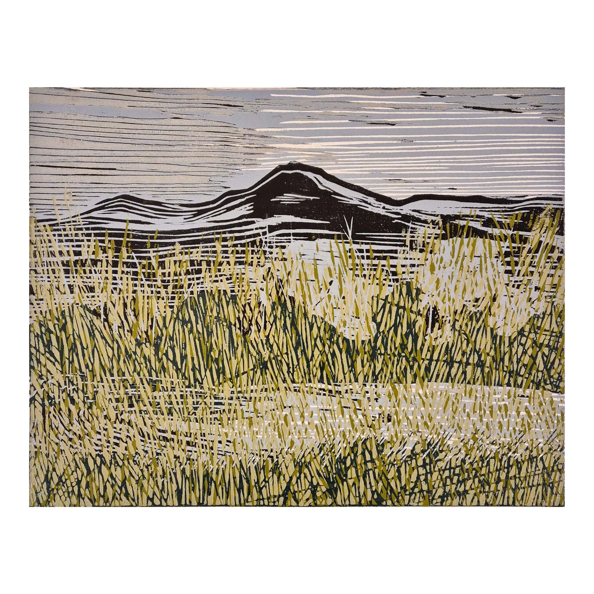 Patrick Huse - Landscape series I