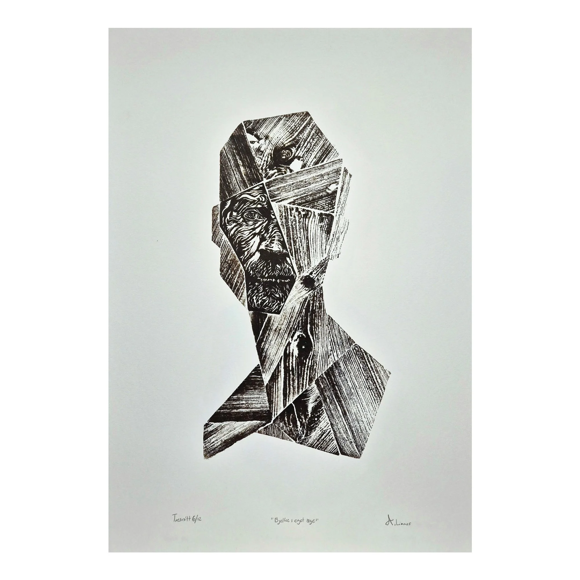 Andreas Lian - Bjelke i eget øye