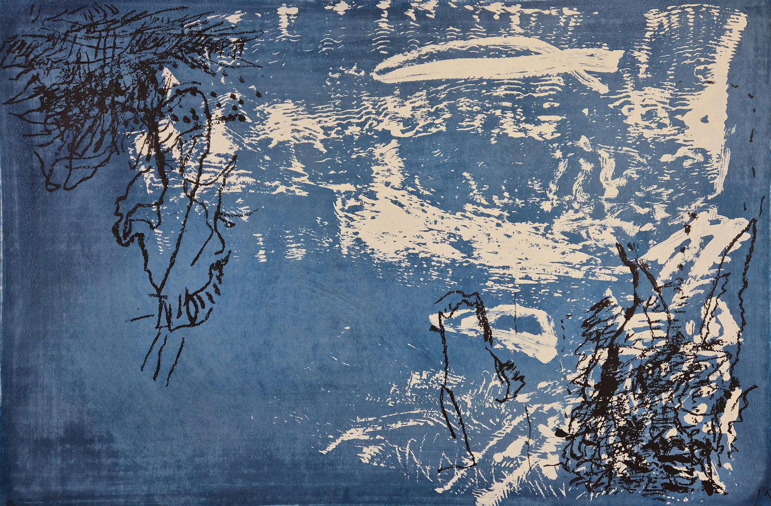 Grafisk kunstverk med en skjult naturmotiv, bestående av blå bakgrunn med hvite og svarte linjer som skildrer vann, planter og omrisset av en person.