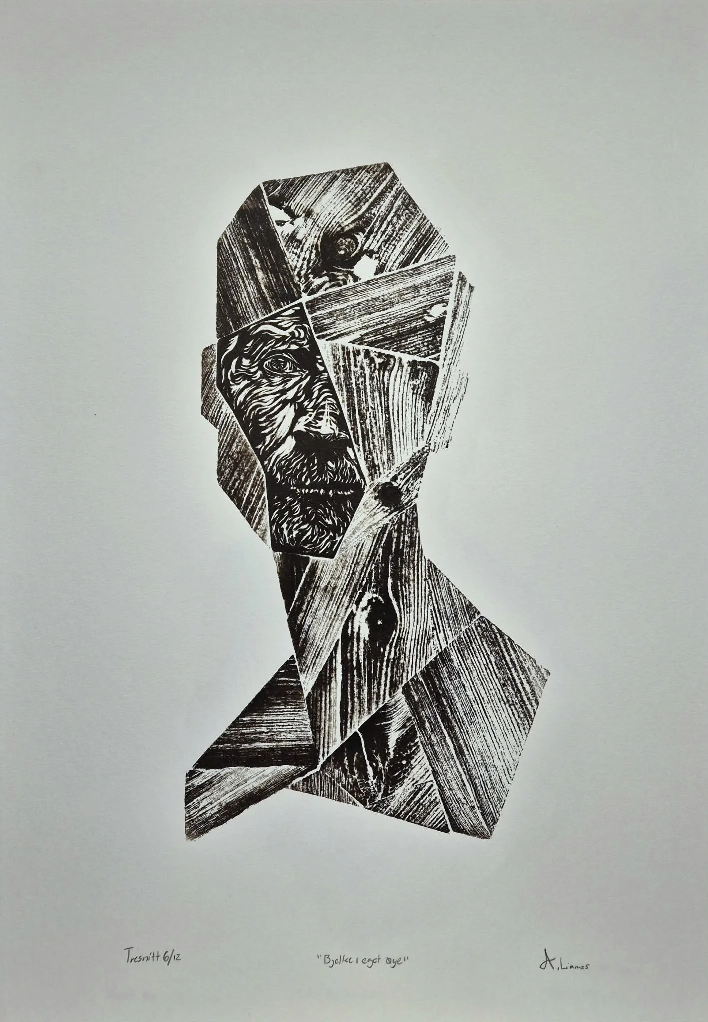 Bjelke i eget øye.jpeg