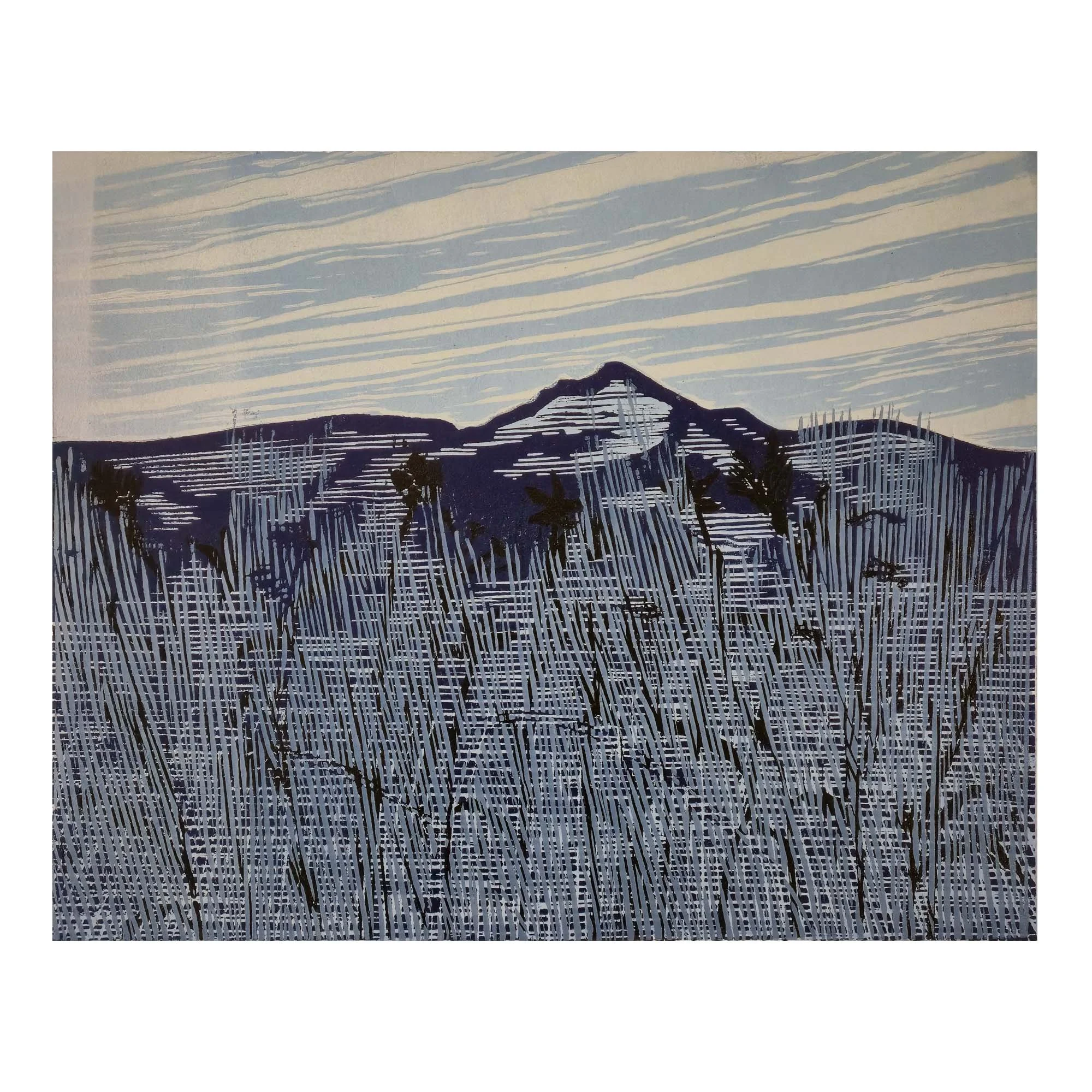 Patrick Huse - Blue landscape
