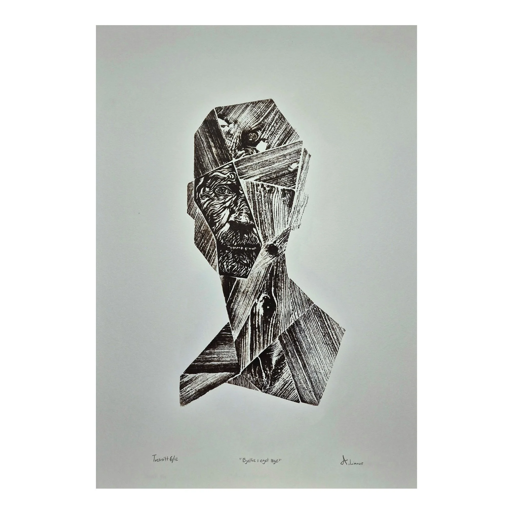 Andreas Lian - Bjelke i eget øye