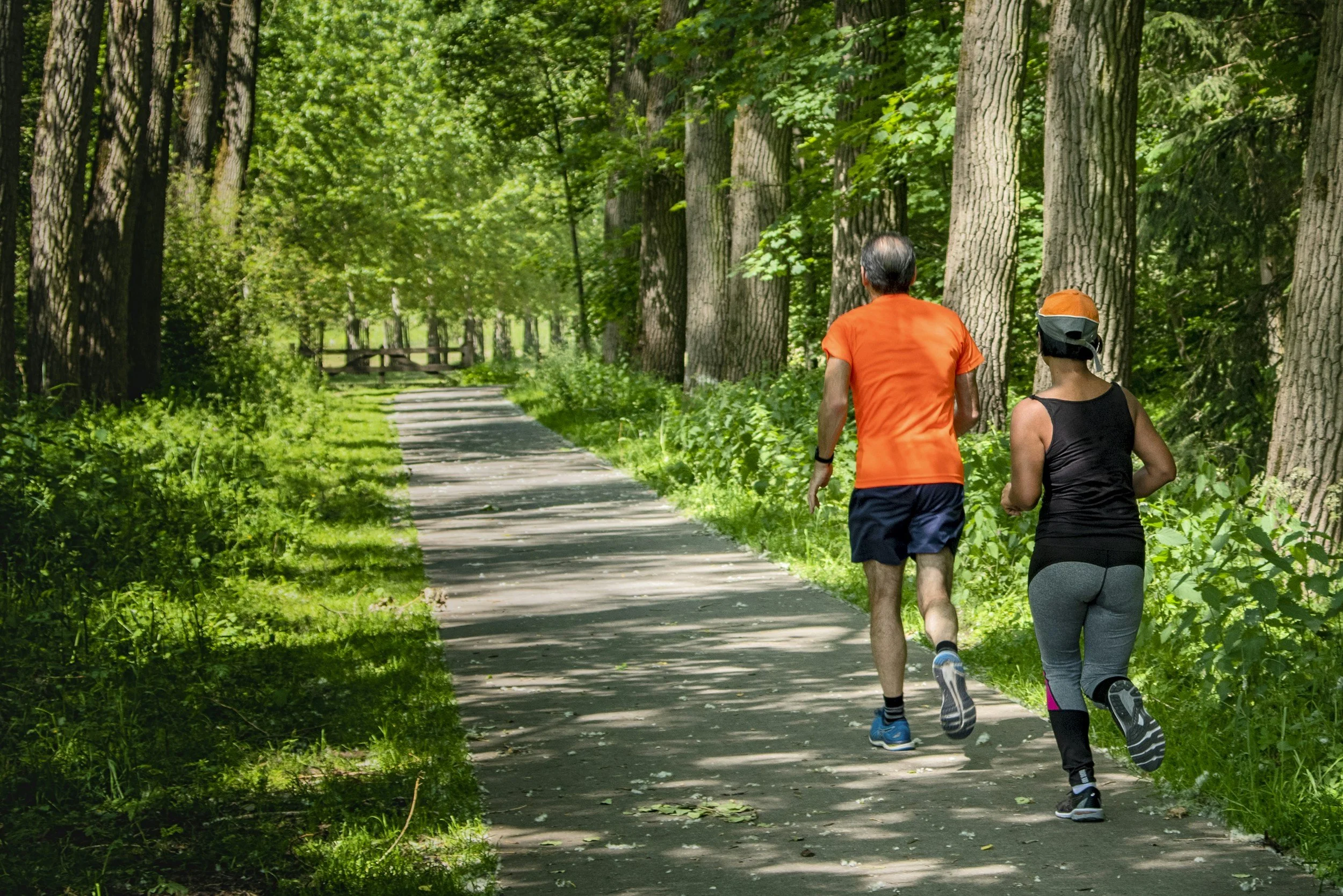 älteres Paar joggt durch den wald bei sonnenschein