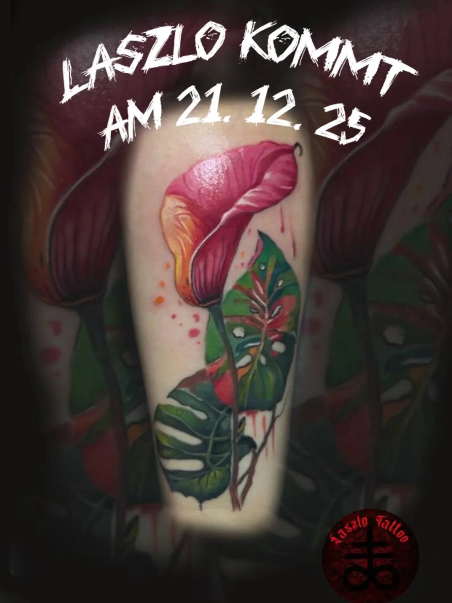 Liebe Kunden!
Am 21.12.25 kommt @laszlo_tattoo zu mir ins Studio. Wer gerne einen Termin zum stechen oder beraten bei ihn will, kann sich jetzt melden.