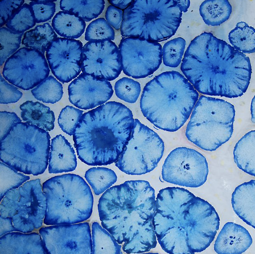 Screenshot 2025-02-19 at 11.23.21.png