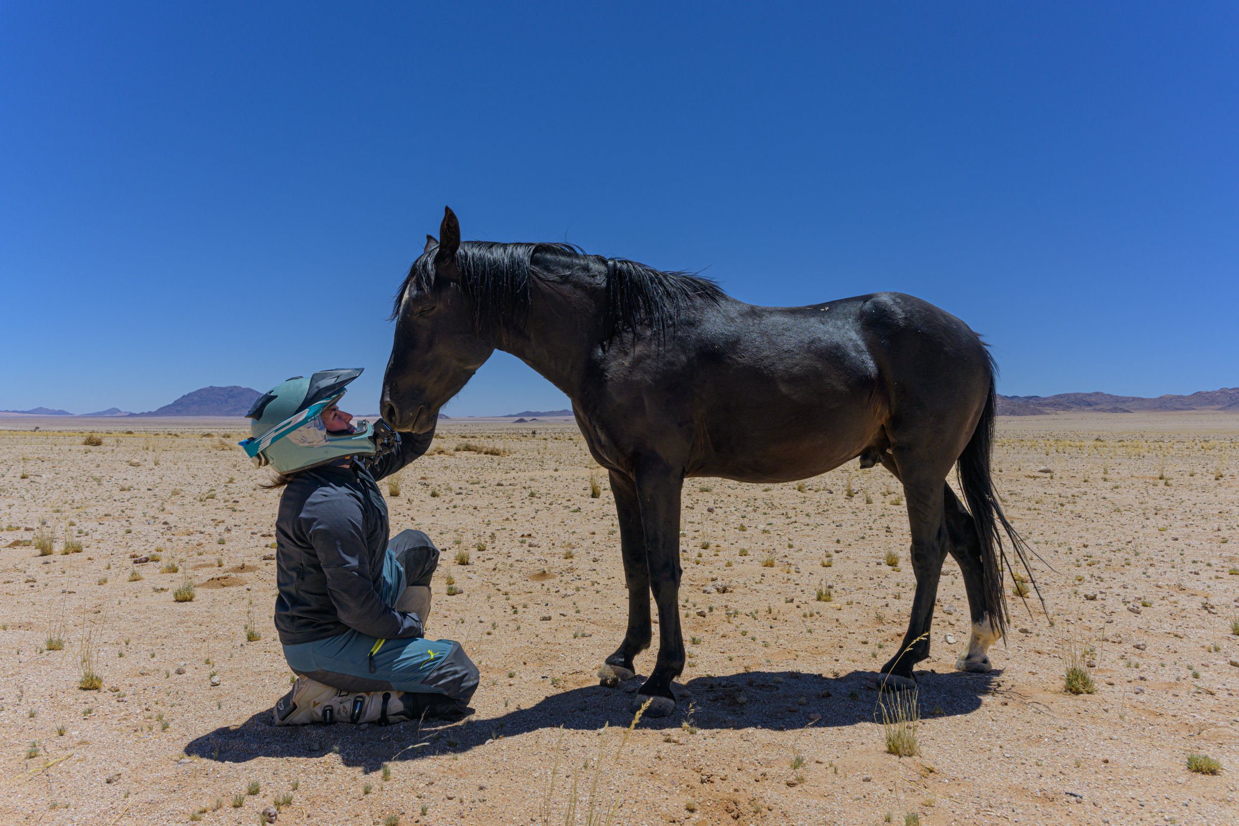 Namibia, motorbike tours, Lüderitz, wild horses, desert horses, Namibia motorbike tours