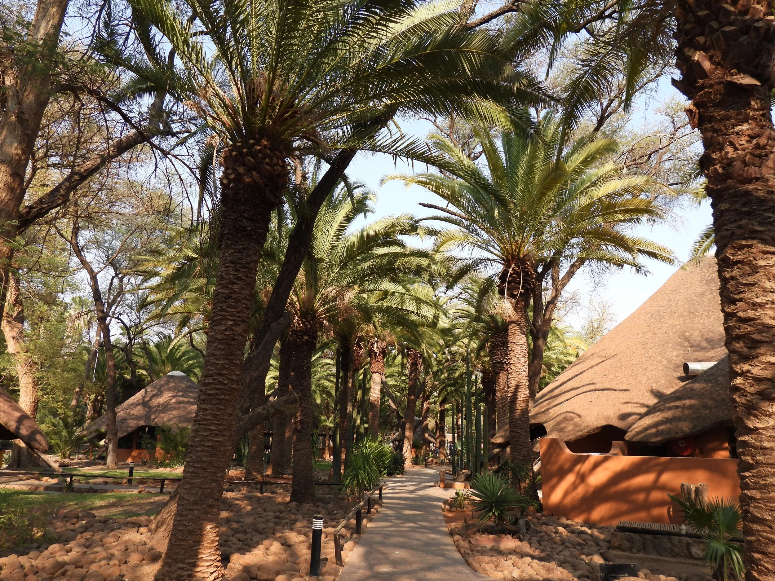 Namibia, motorbike tours, Omaruru game lodge