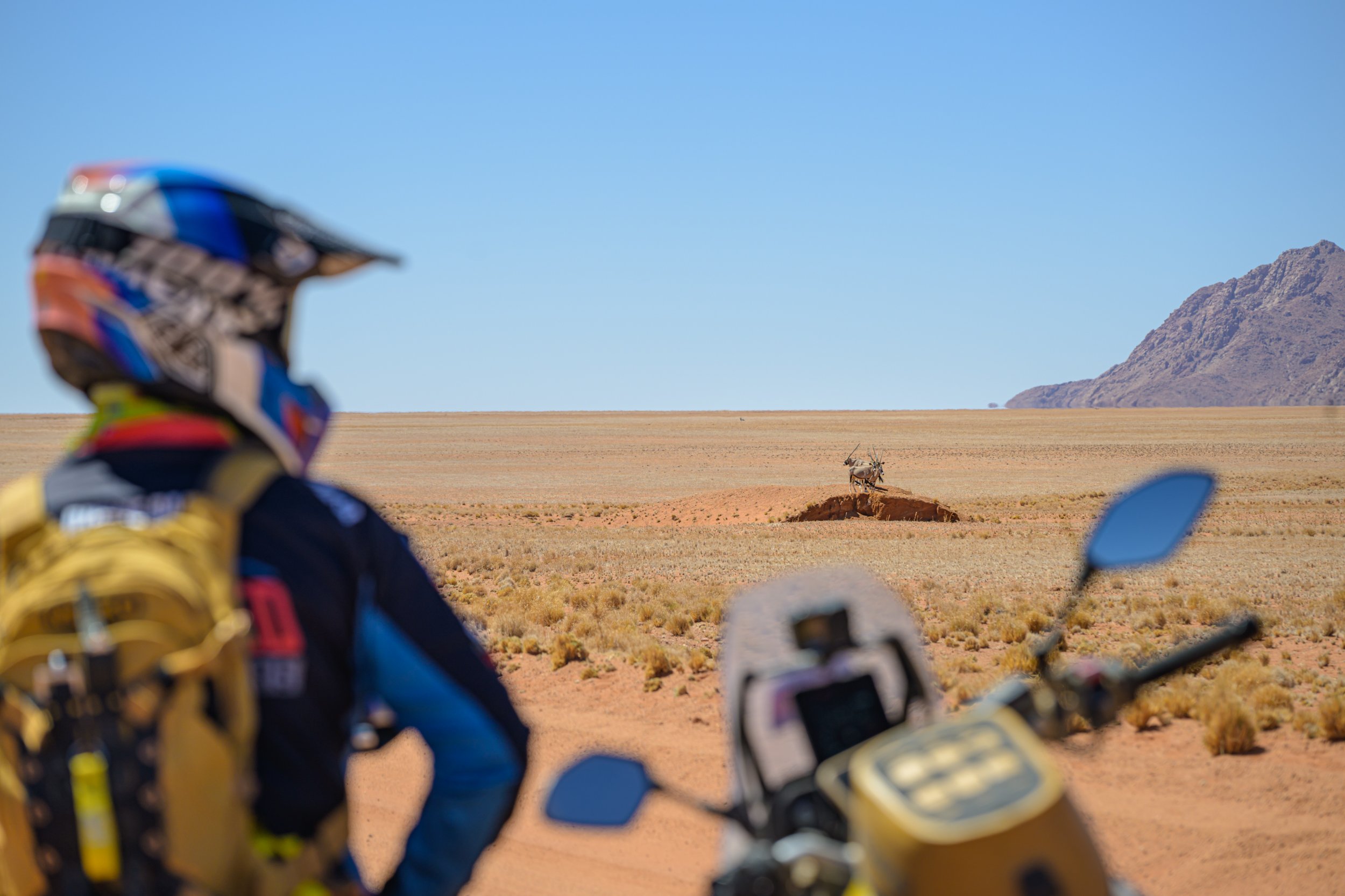 Namibia, motorbike tours, Mosko moto, oryx, Namib desert, Namibia motorbike tours
