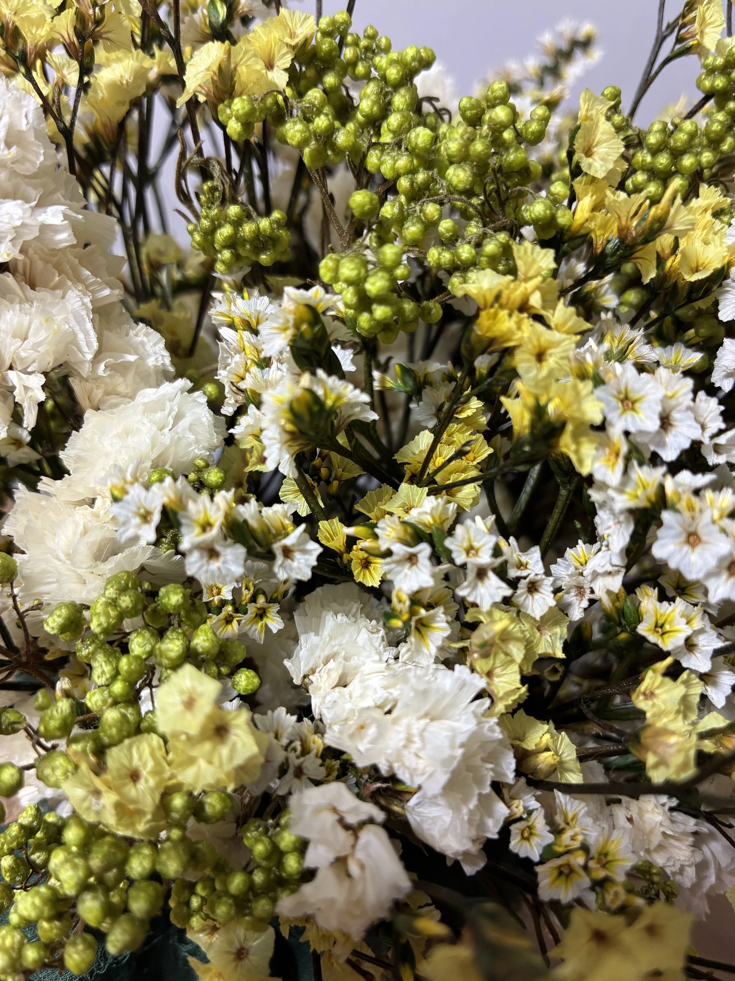 Flores Preservadas a domicilio España | Betty and Brooke