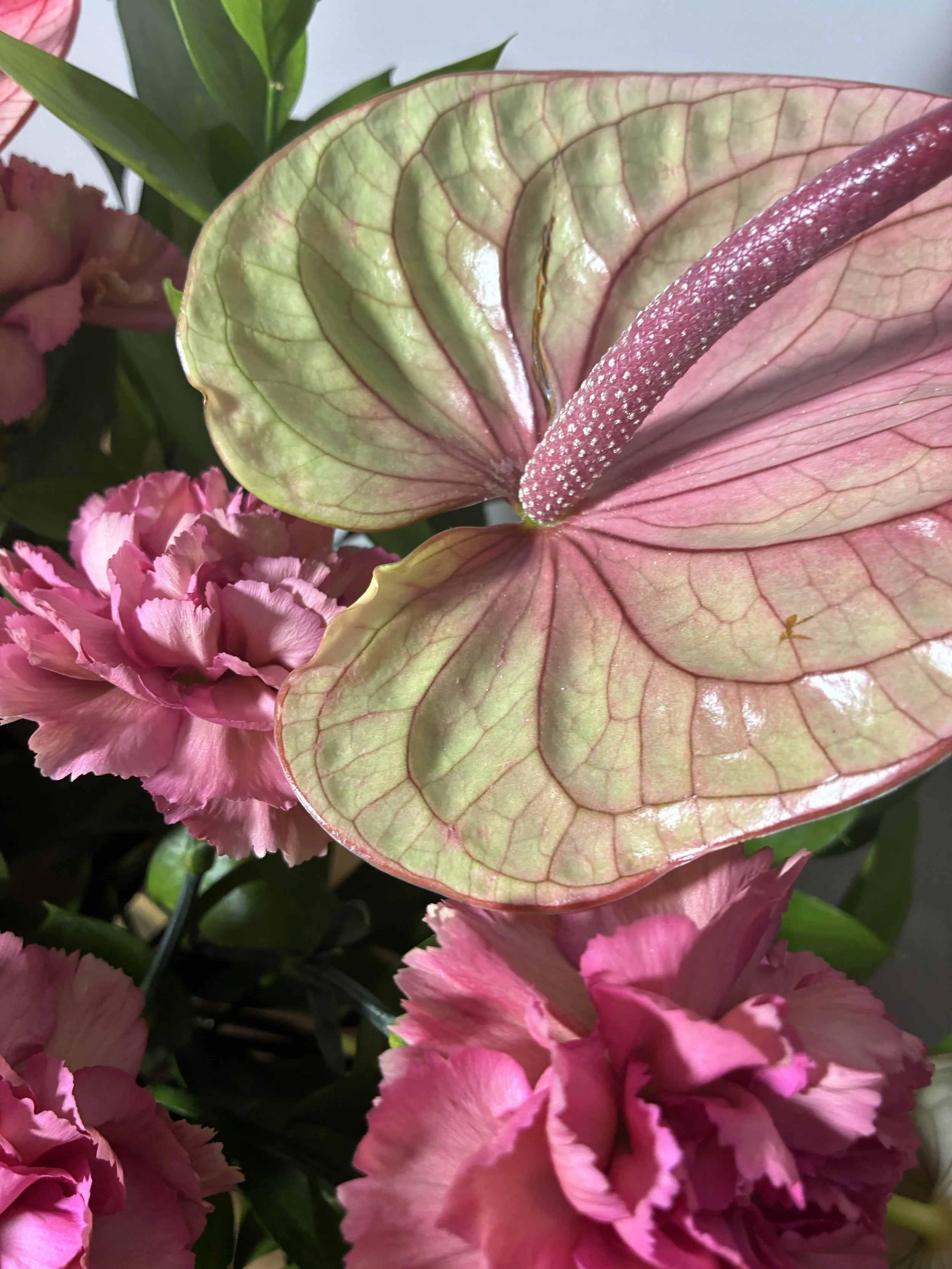 Jarron de flores en Madrid entrega 24h | Betty and Brooke