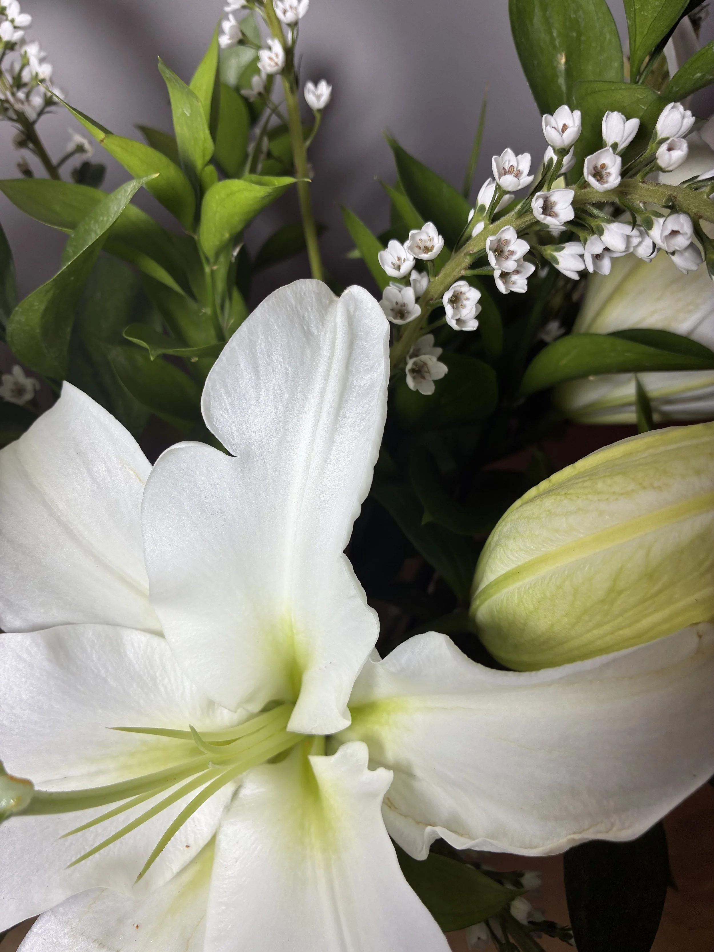 Jarron de flores a domicilio Madrid | Betty and Brooke