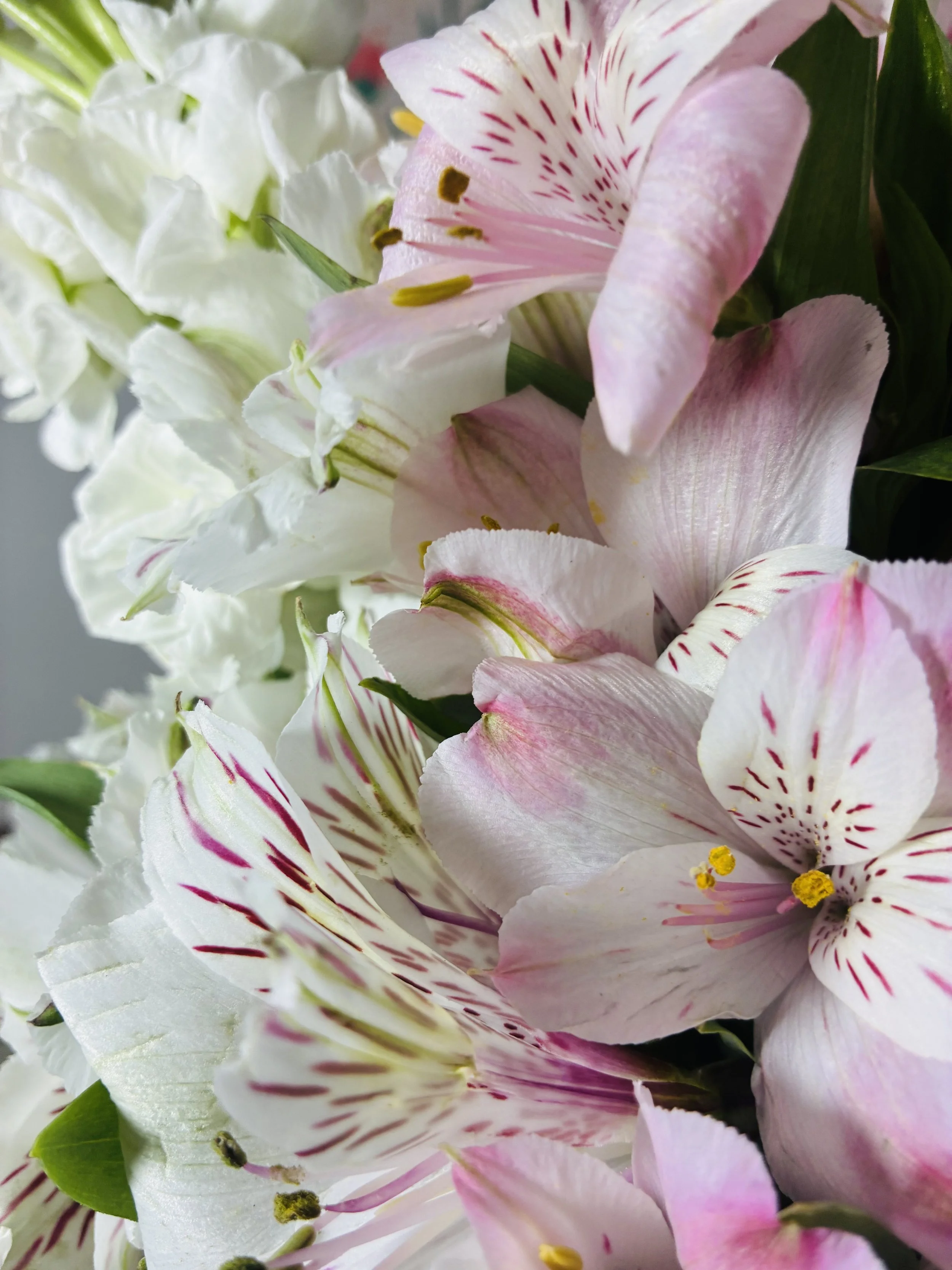 Flores frescas en Madrid blanco y rosa | Betty and Brooke