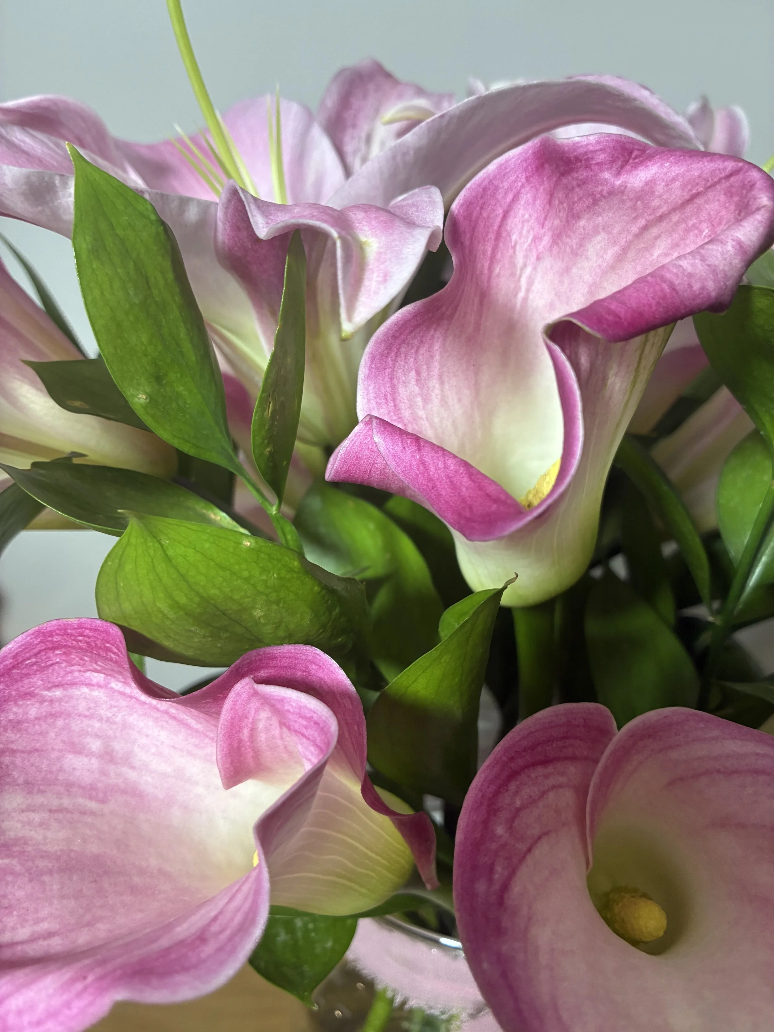 Flores a domicilio en Madrid | Betty and Brooke