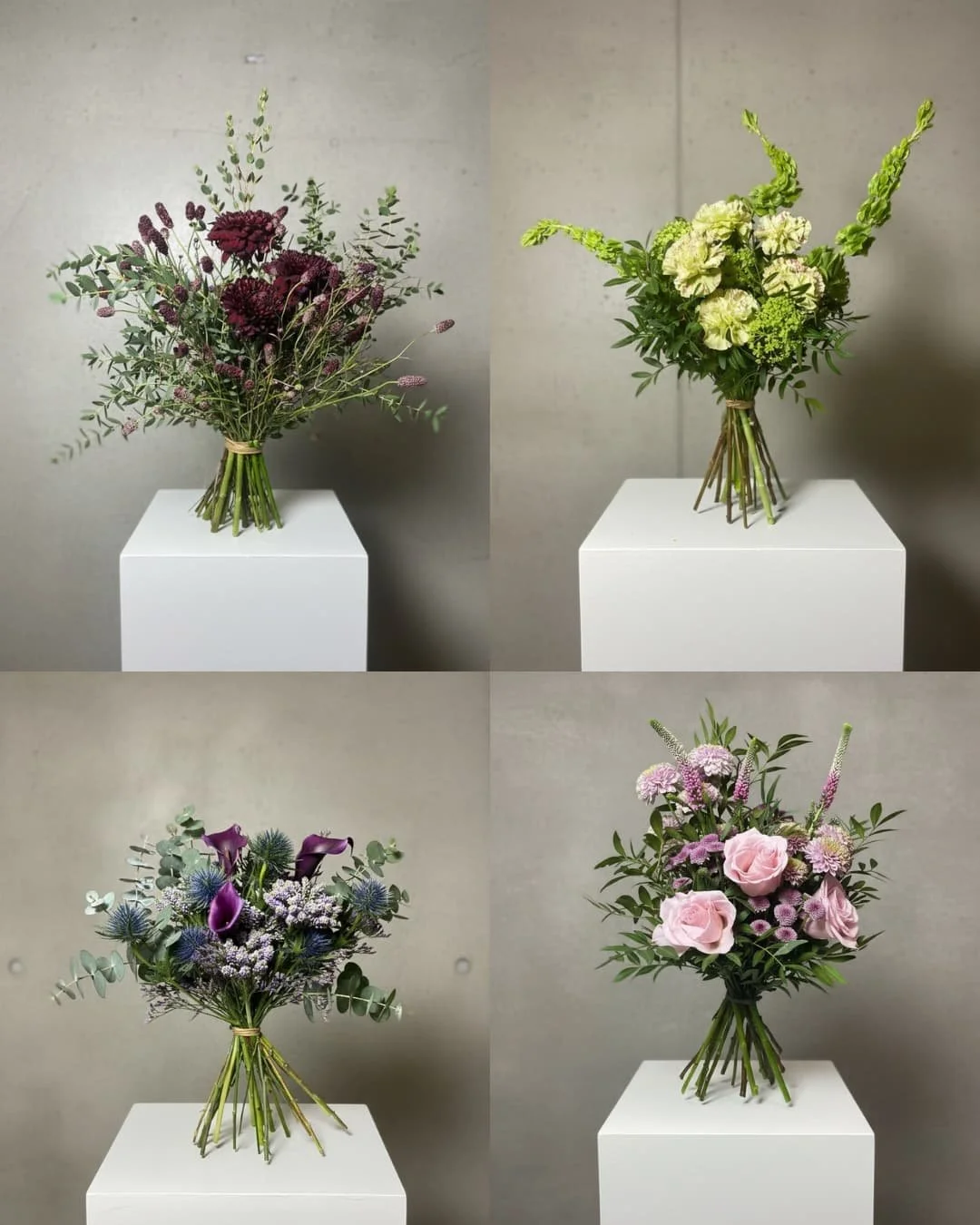 Suscripción Quincenal